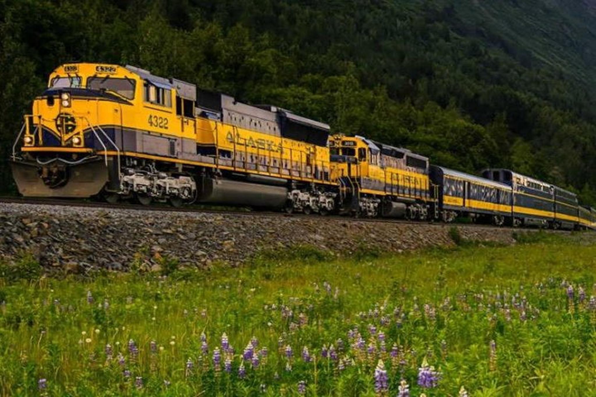 Anchorage to Seward Round-Trip Rail Journey - Image 6