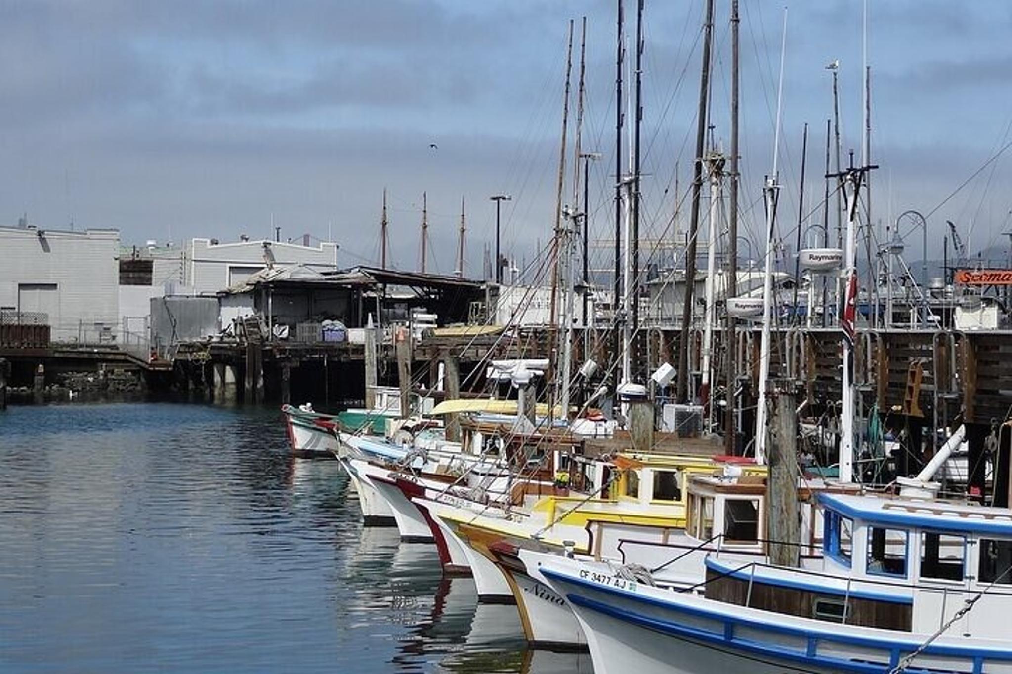 San Francisco Alcatraz App Guided Tour 2 hr - Image 4