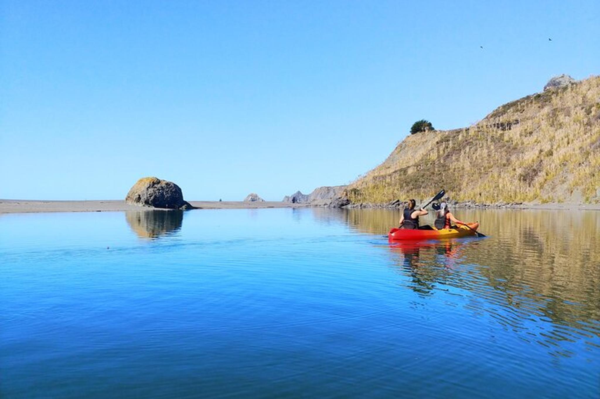 Sonoma Coast Russian River Kayak Tour - Image 6