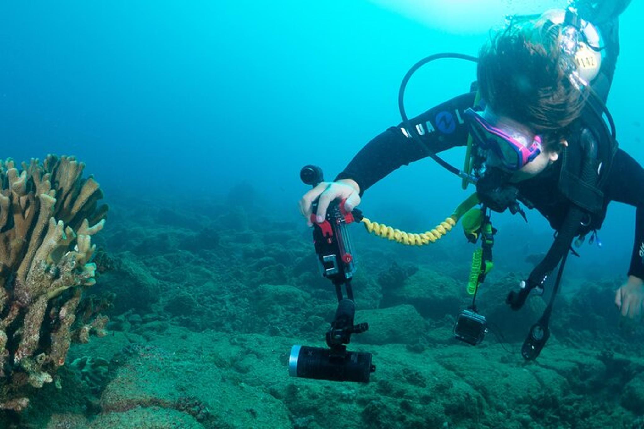 Kauai Scuba Diving Certified Diver 3 hr - Image 5