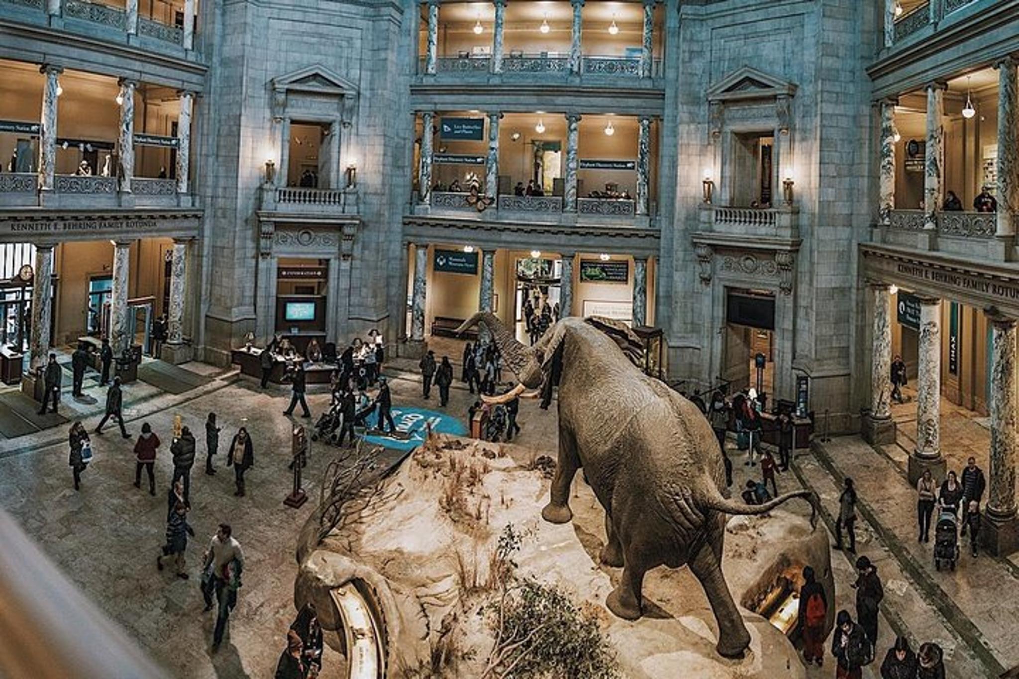 Washington DC Smithsonian Museum Tour 5.5 Hr - Image 3