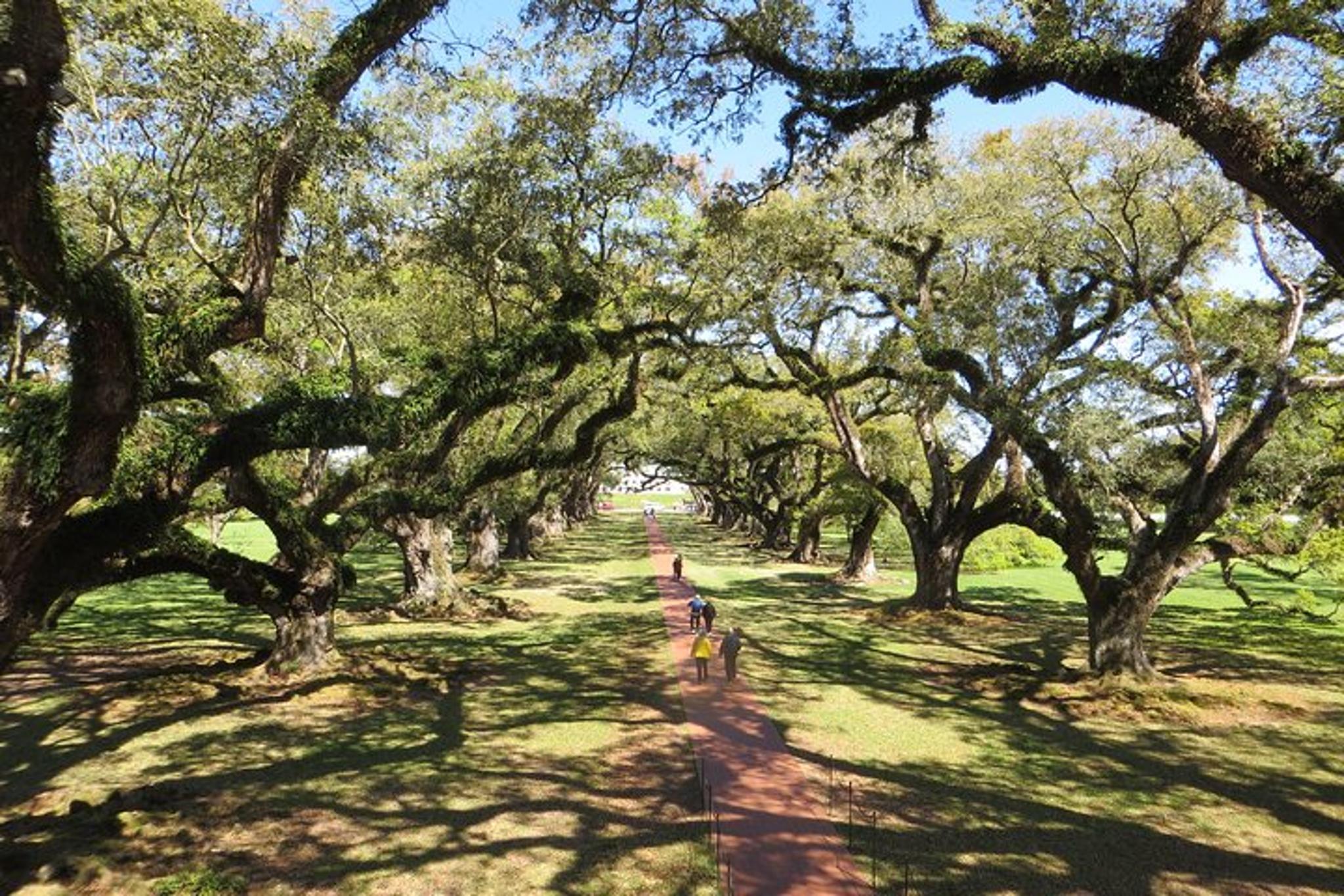 New Orleans City and Oak Alley Plantation Tour - Image 2