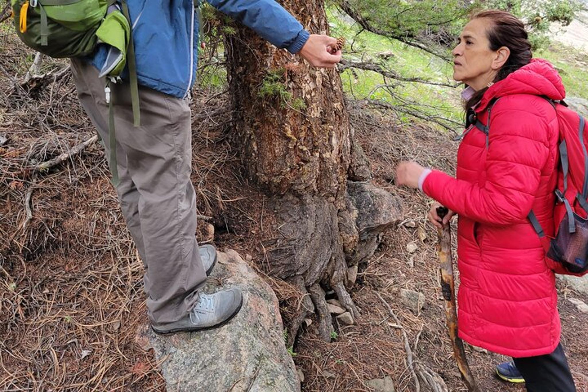 Rocky Mountain National Park Half Day Hike - Image 3