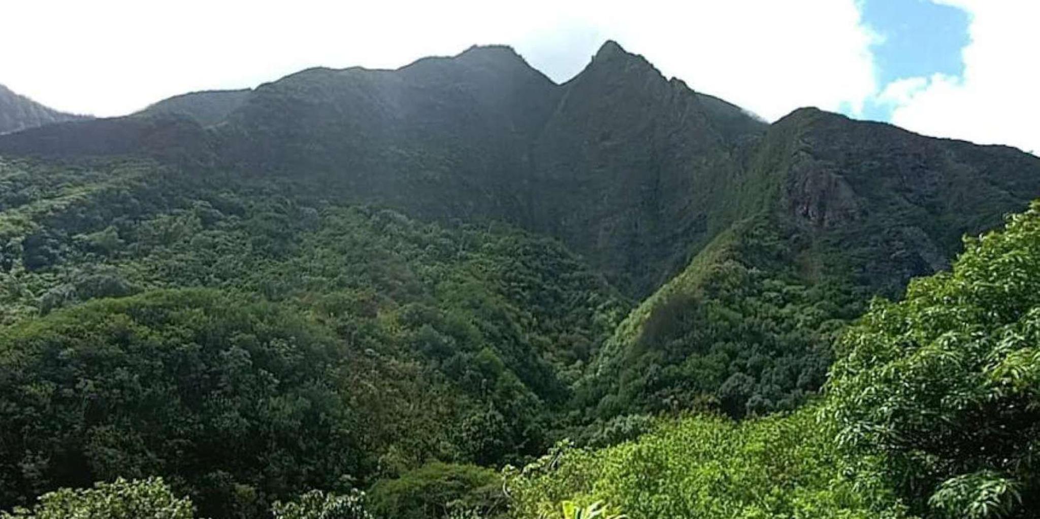 Maui North Shore and Hana Highway Tour with Breakfast - Image 4