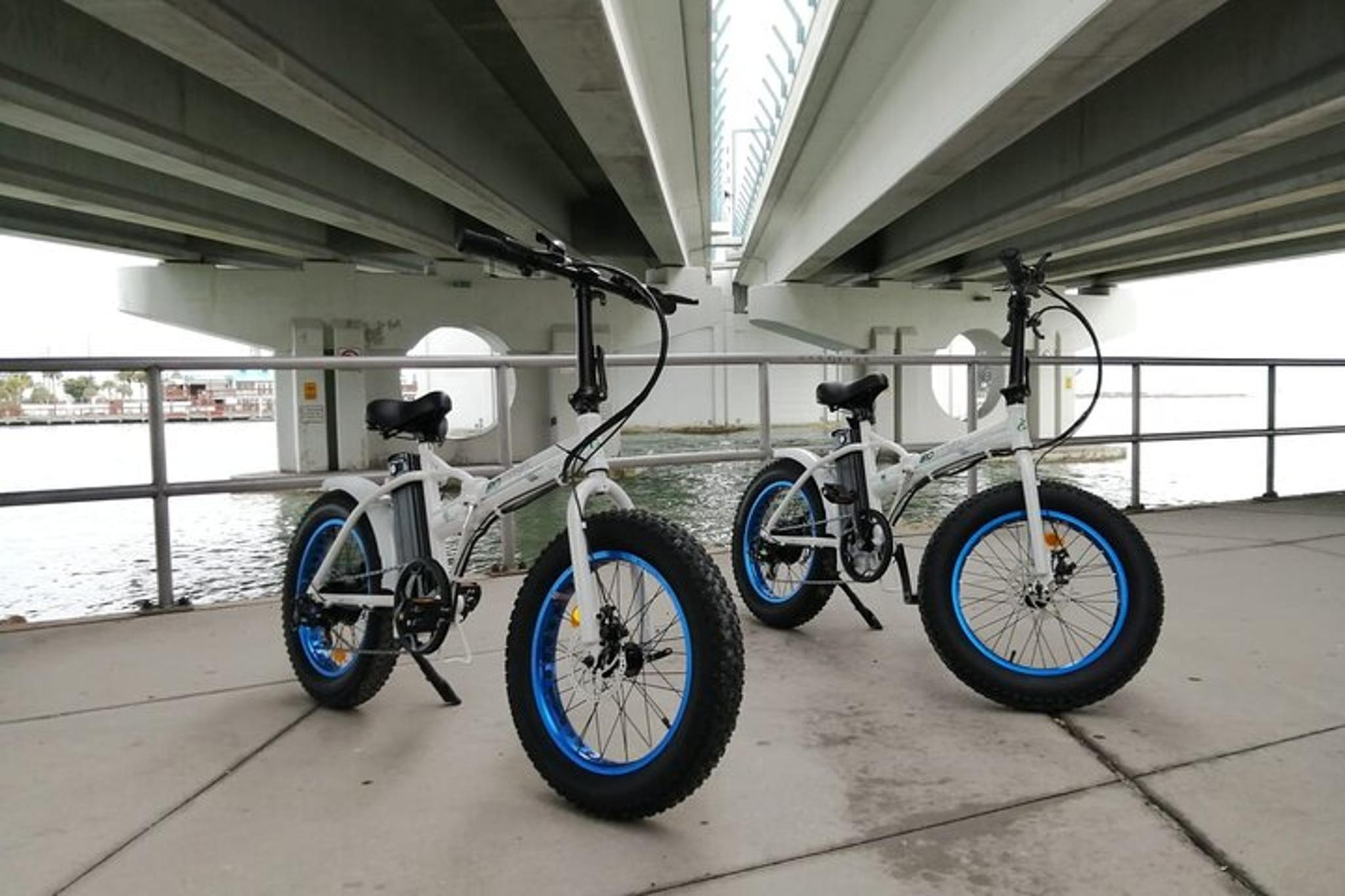 Miami Electric Bike Rental 1 Hr - Image 1