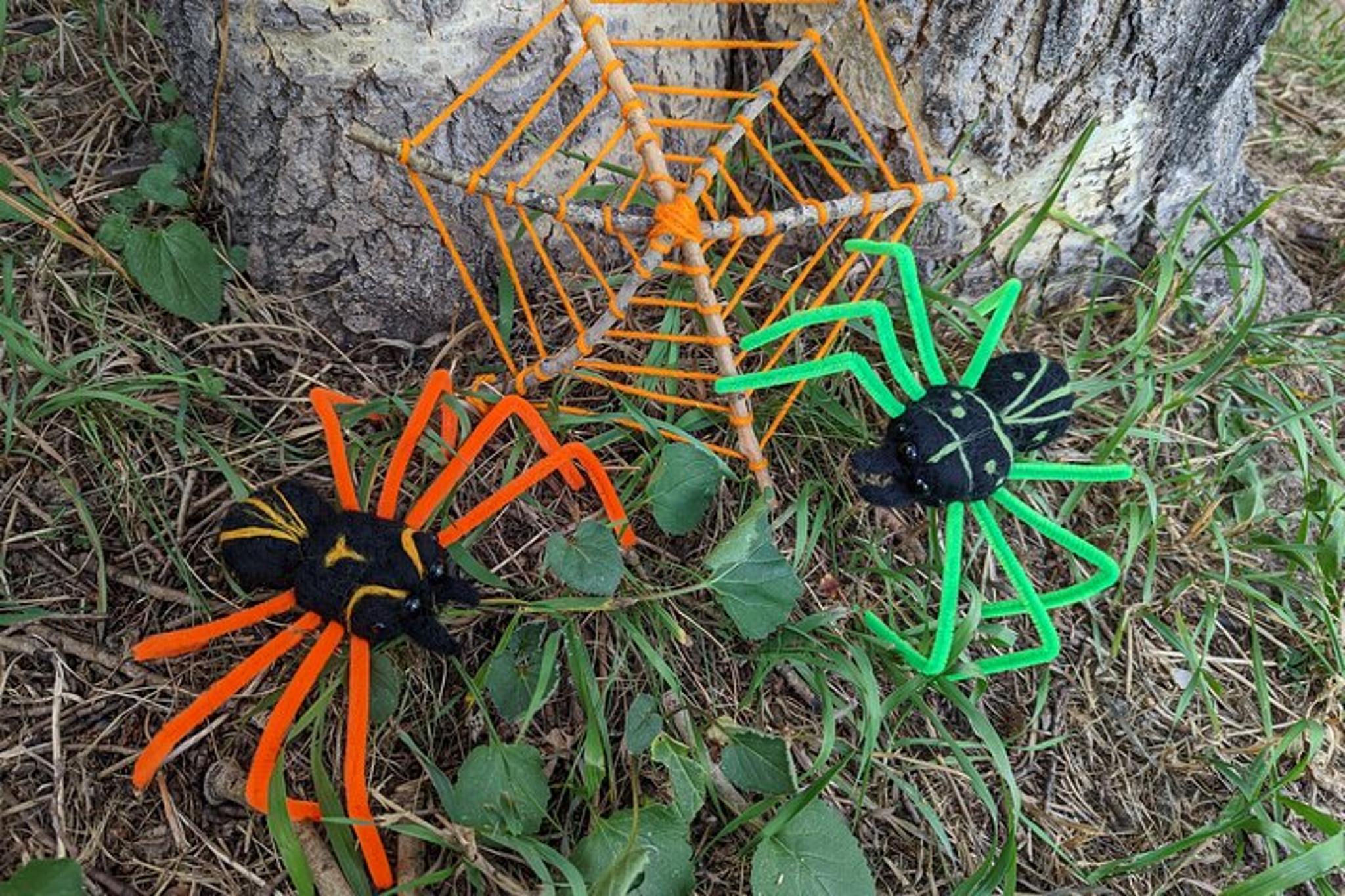 Estes Park Spider Art Class