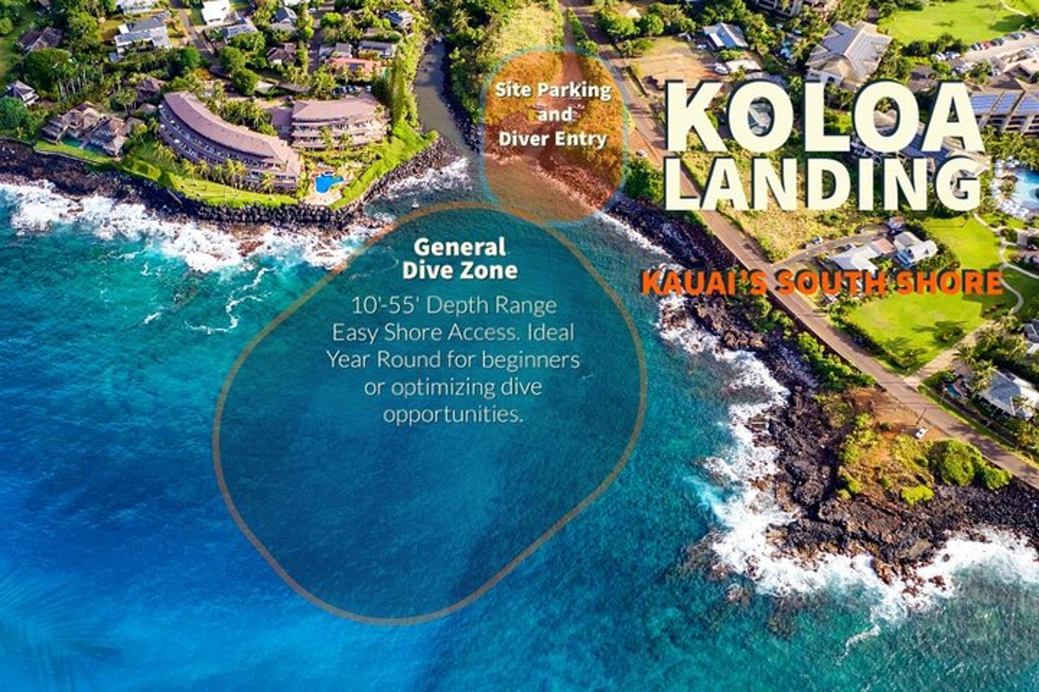 Koloa Discover Scuba Diving Experience 3 hr