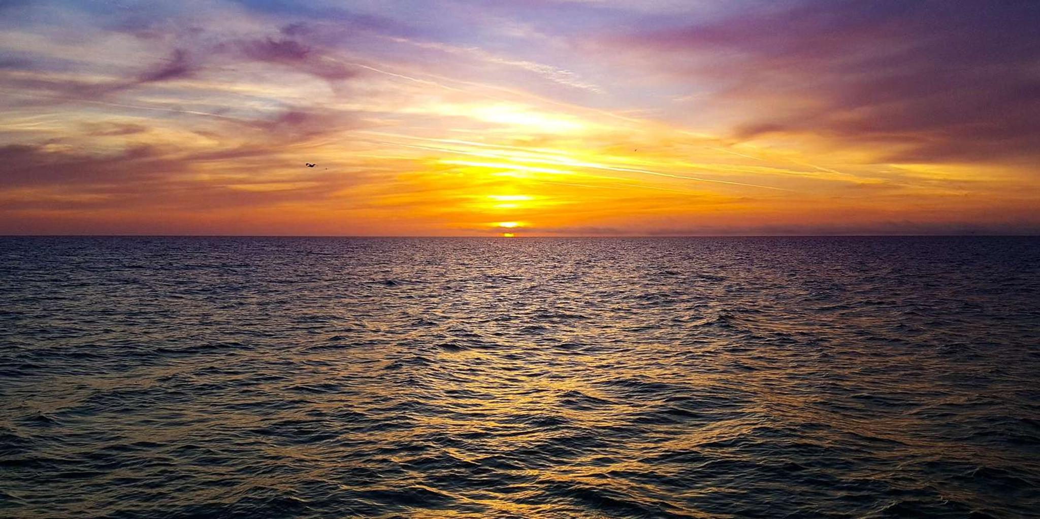 Clearwater Sunset Celebration Cruise - Image 4