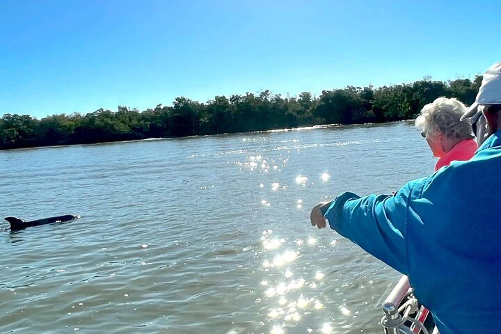 Marco Island Wild Dolphin Tour