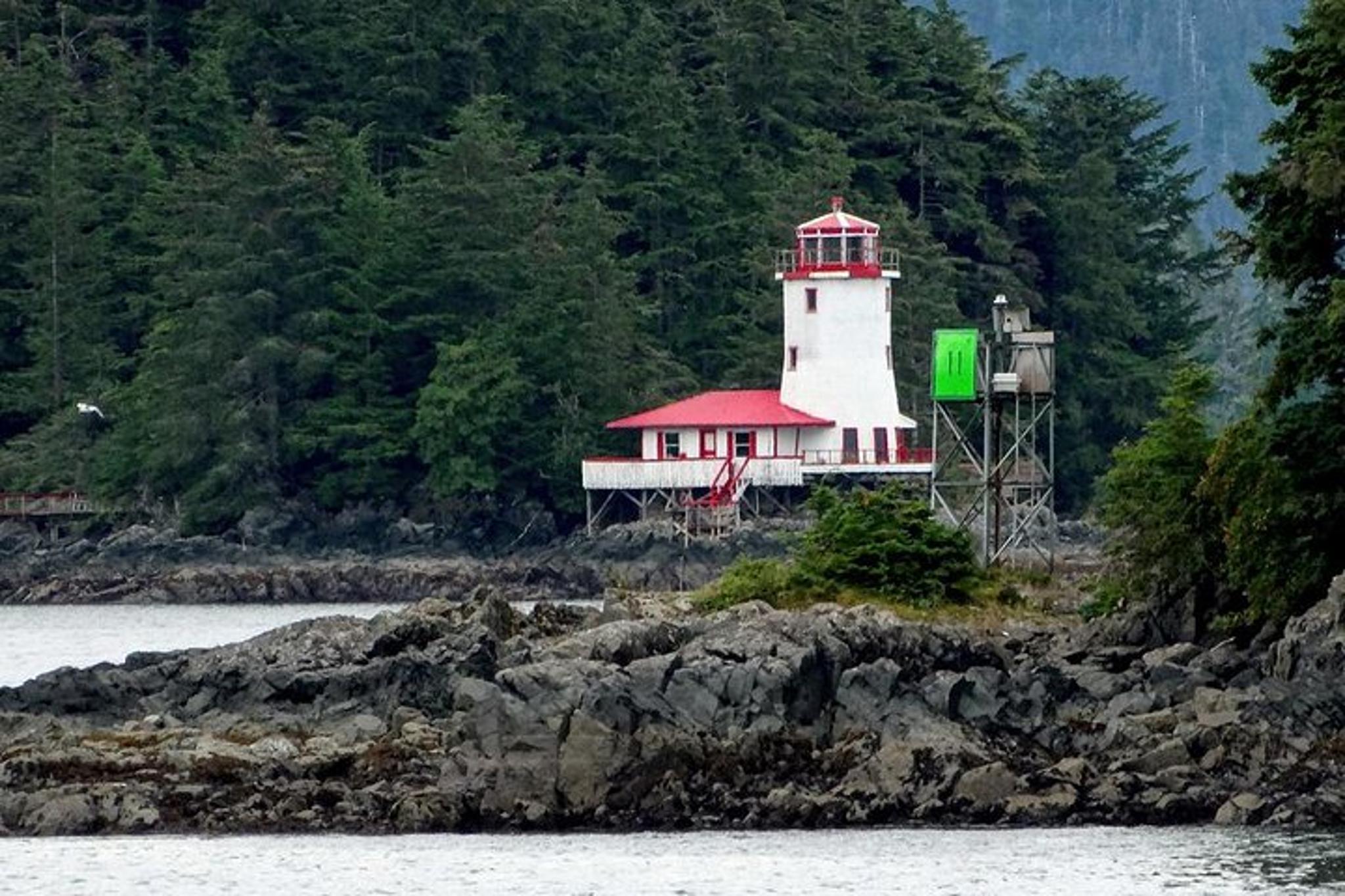 Sitka Sea Kayaking Adventure - Image 4