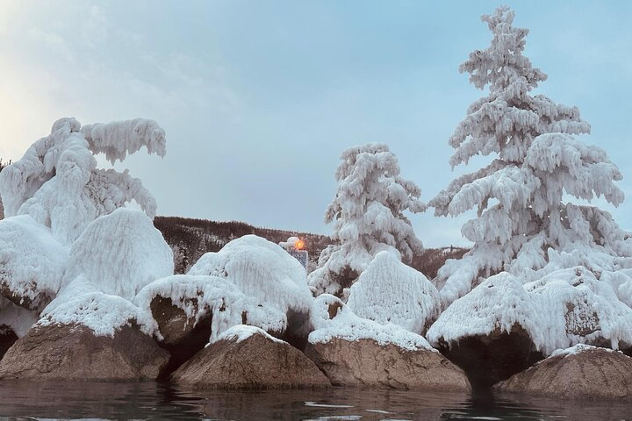 Chena Hot Springs Day Trip - Image 4