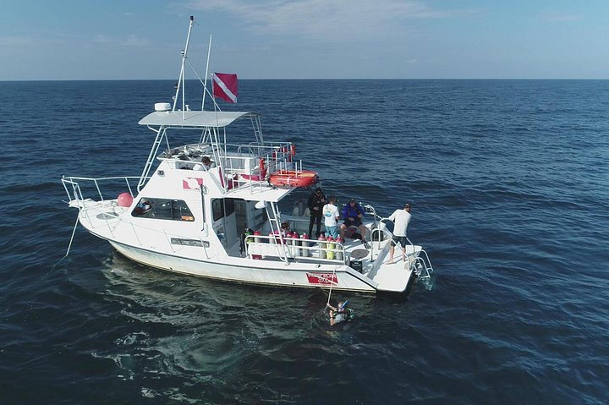 Panama City Wreck and Bridge Span Dive - Image 5