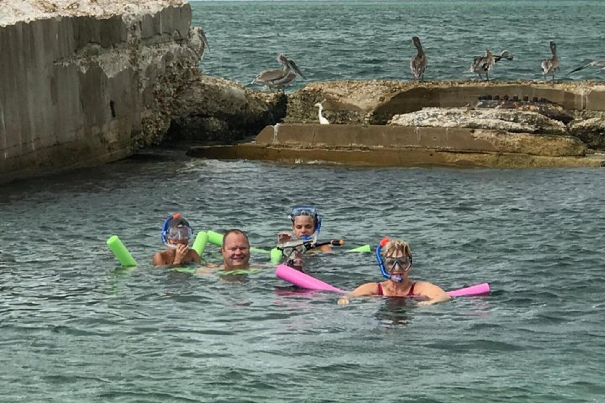 Tierra Verde Dolphin Cruise and Snorkeling to Shell Key 2 hr - Image 3