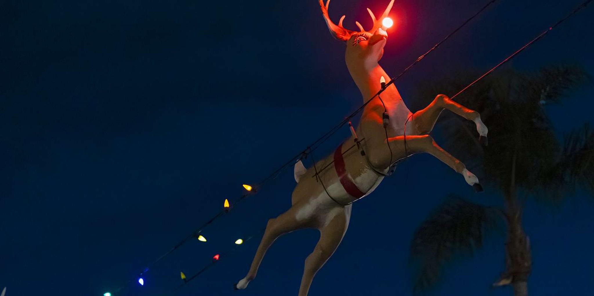 Boston Holiday Sights Trolley Tour - Image 4