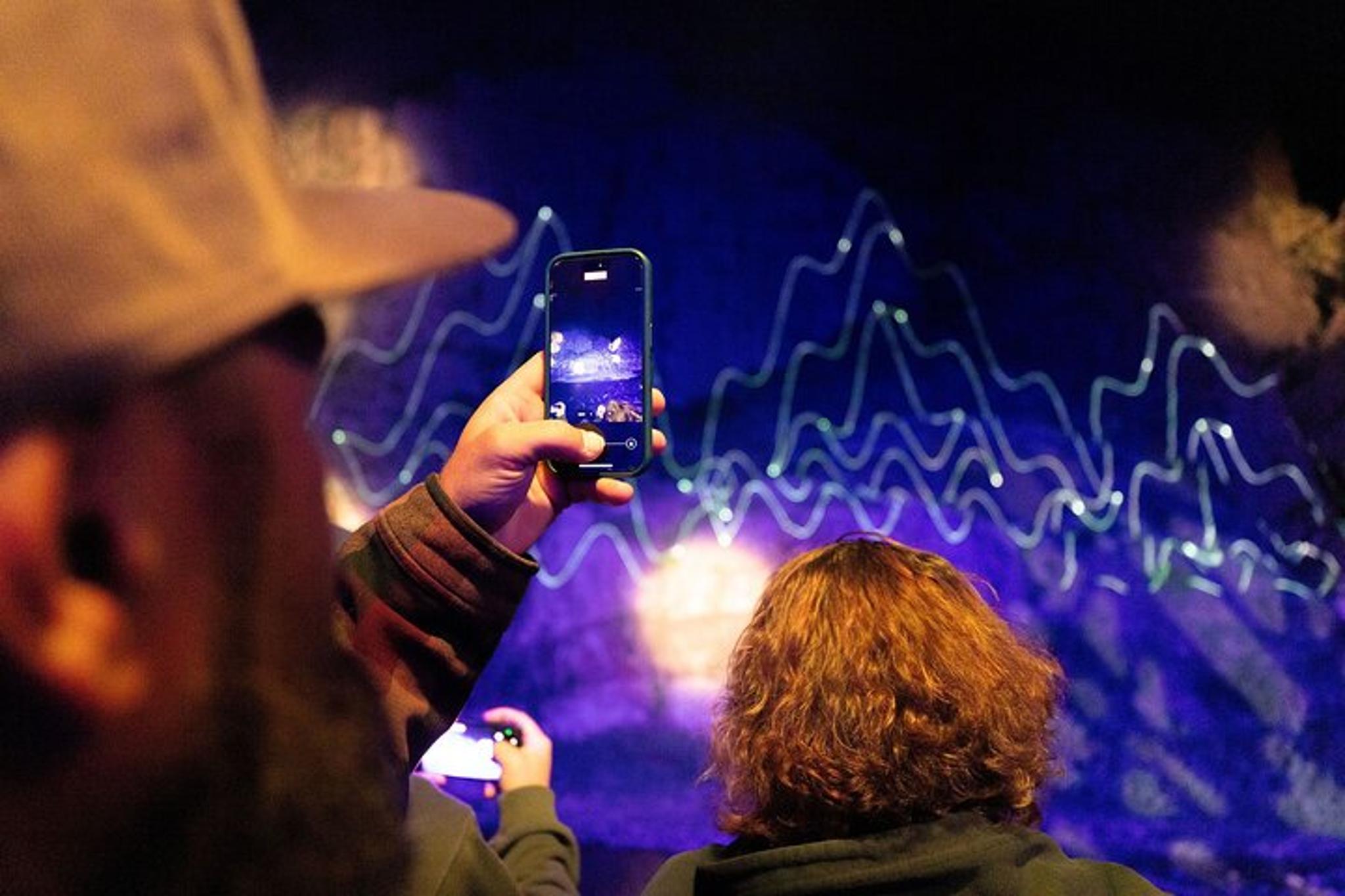 Royal Gorge Laser Light Show Train - Image 5