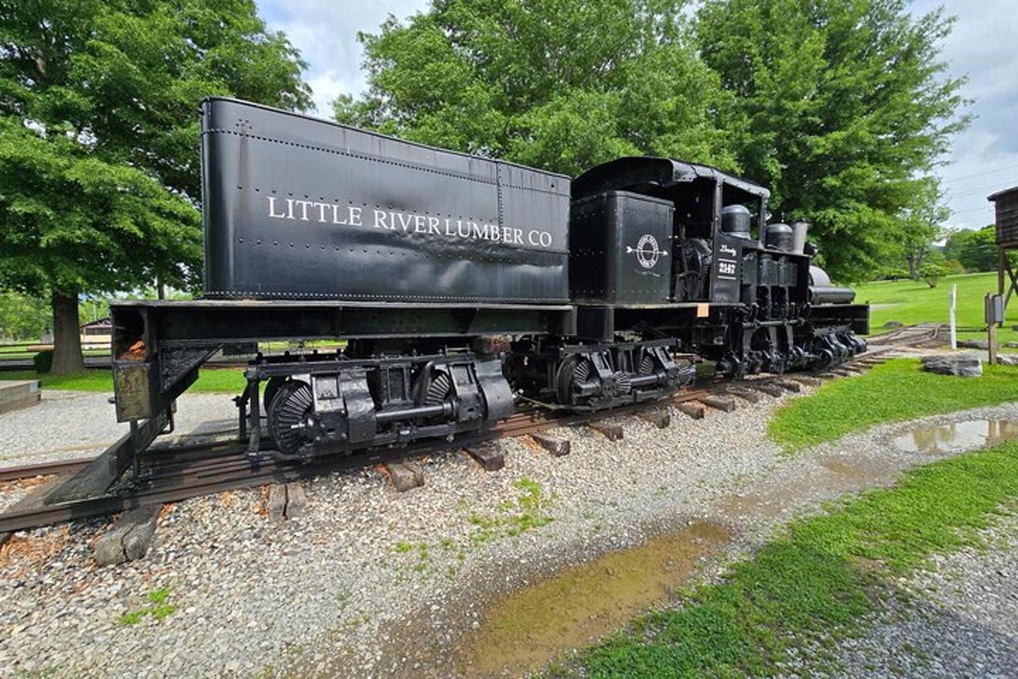 Sevierville Cades Cove and Foothills Parkway Tour