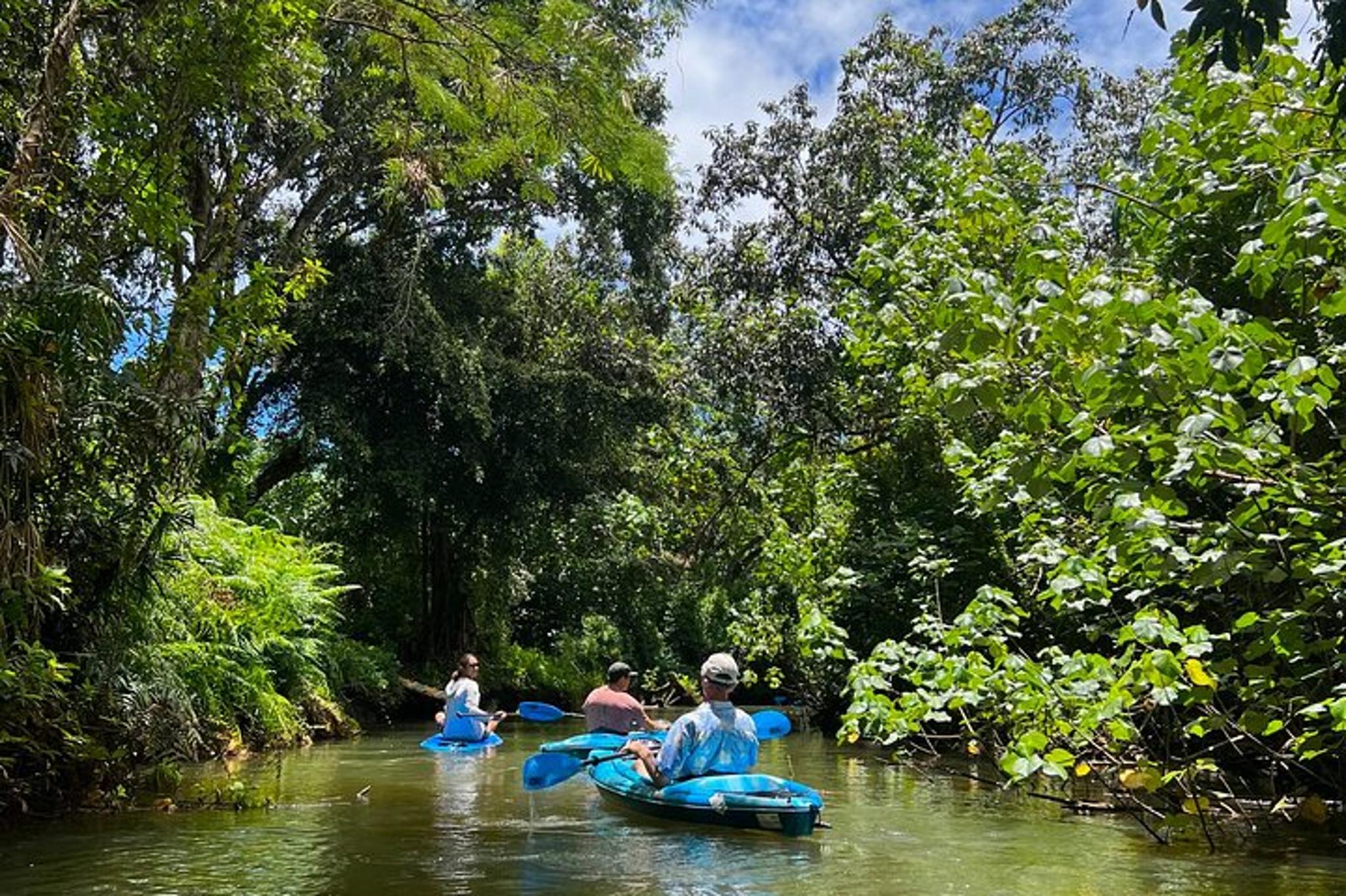 Kahana Bay Kayak and Stand Up Paddle Rental - Image 2