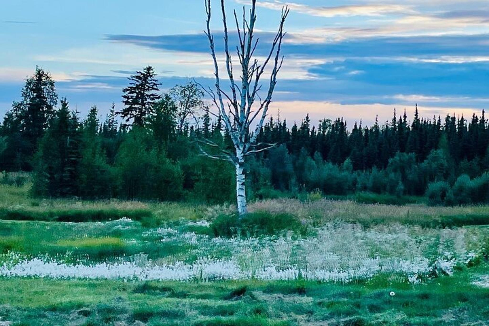Fairbanks 18-Hole Golf Experience - Image 4