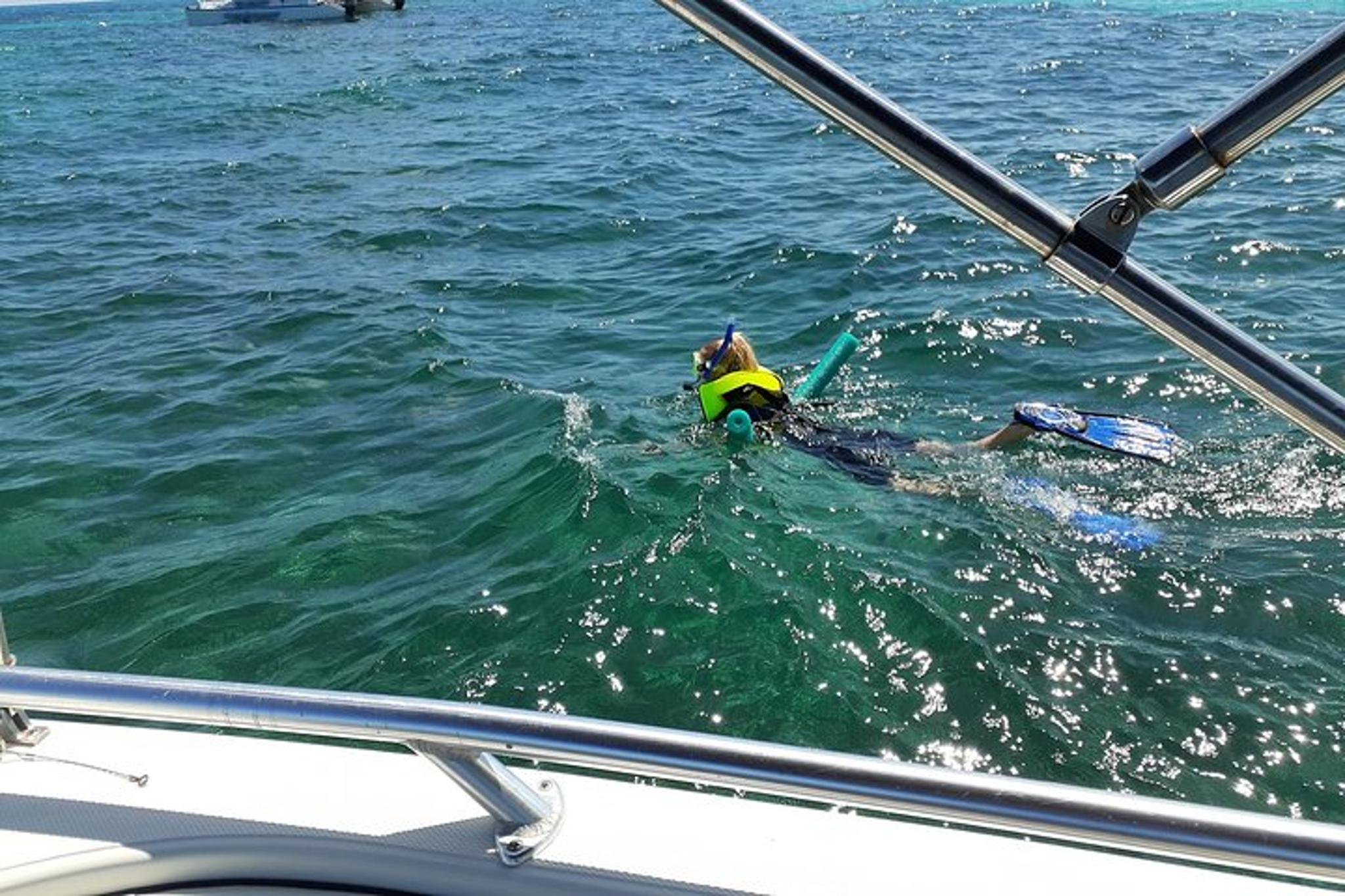 Key Largo Private Snorkel Tour - Image 5