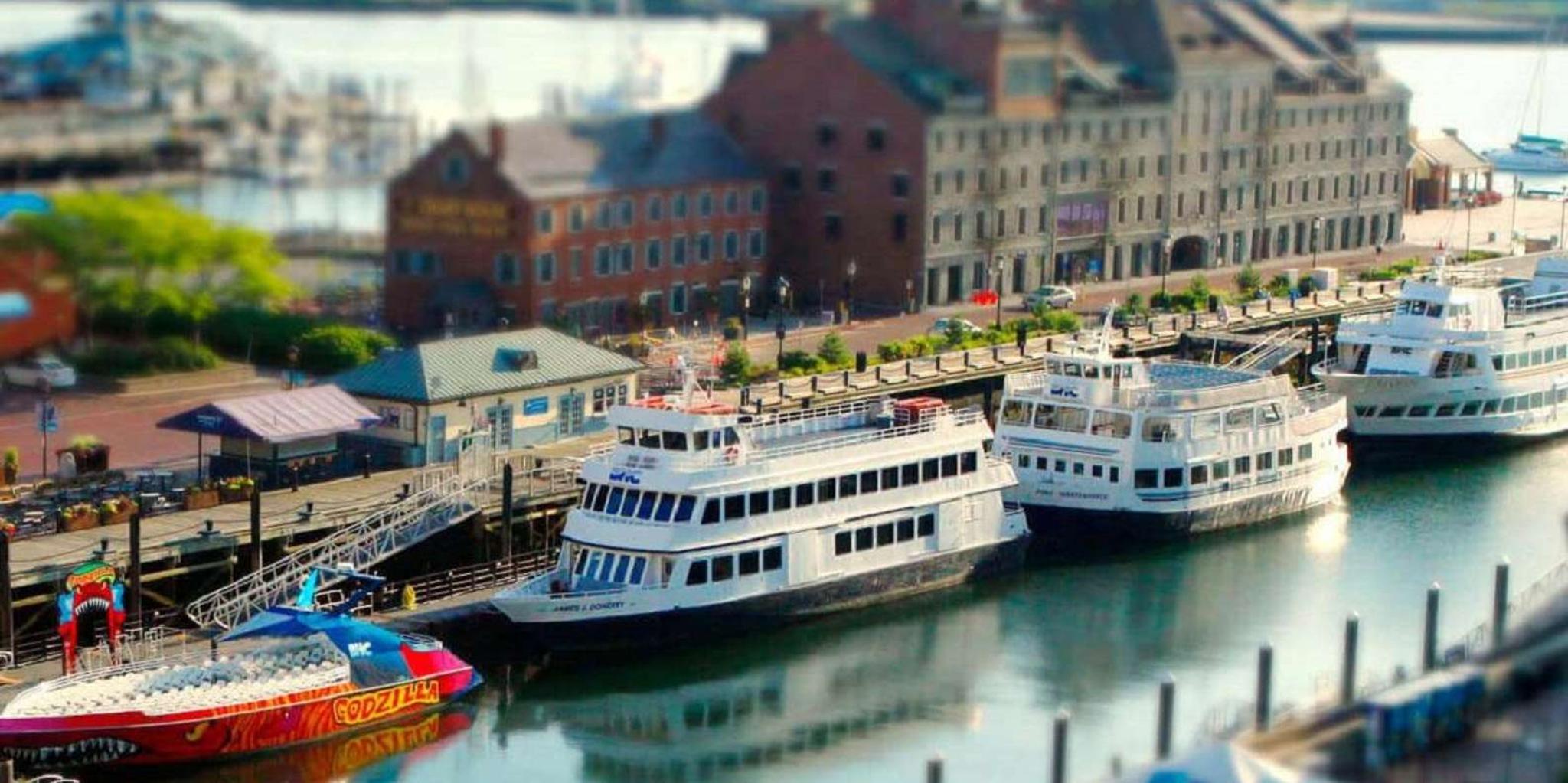 Boston Small Group Harvard, MIT, and Harbor Cruise - Image 2