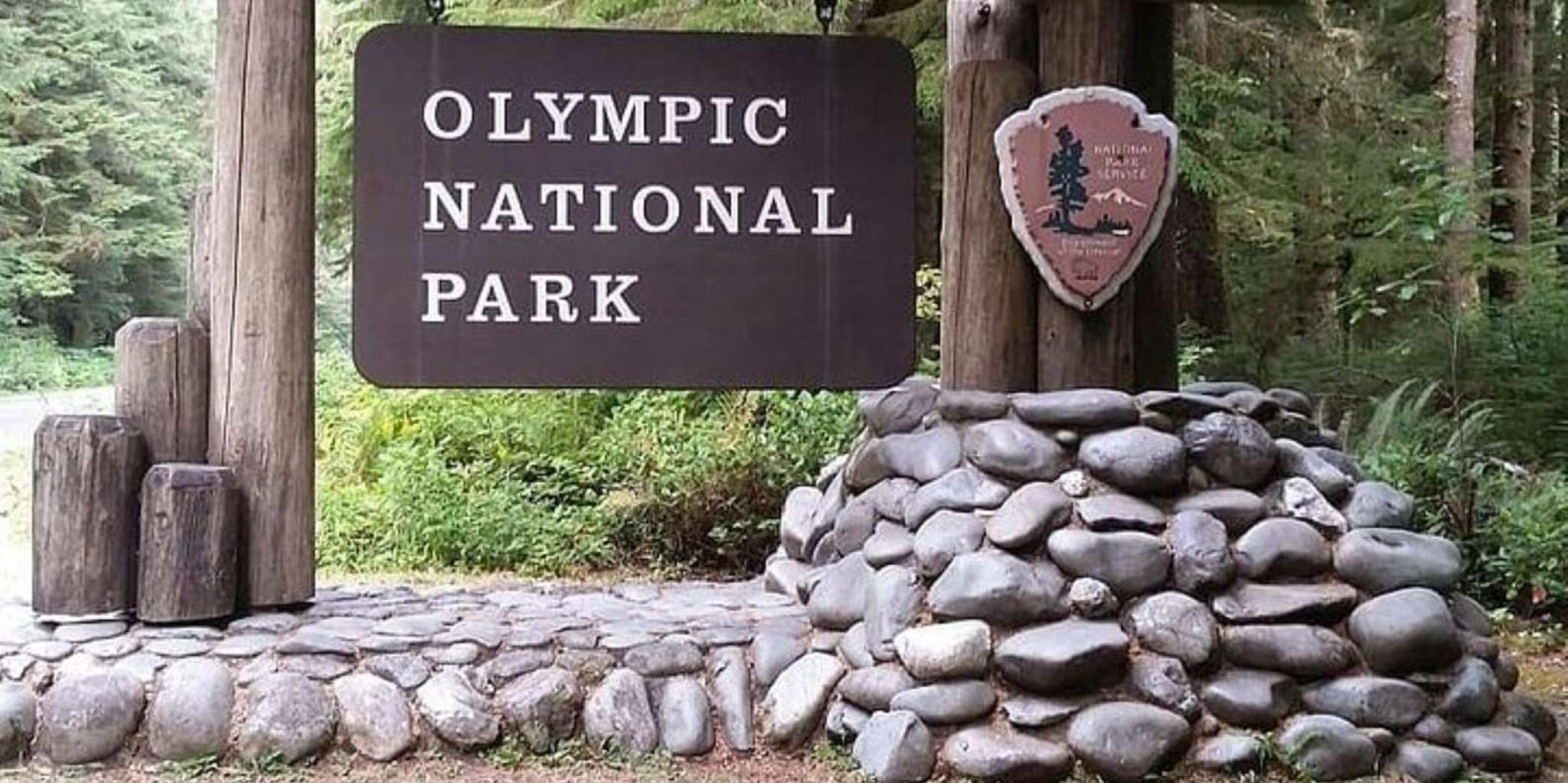 Seattle Olympic National Park Day Tour - Image 2