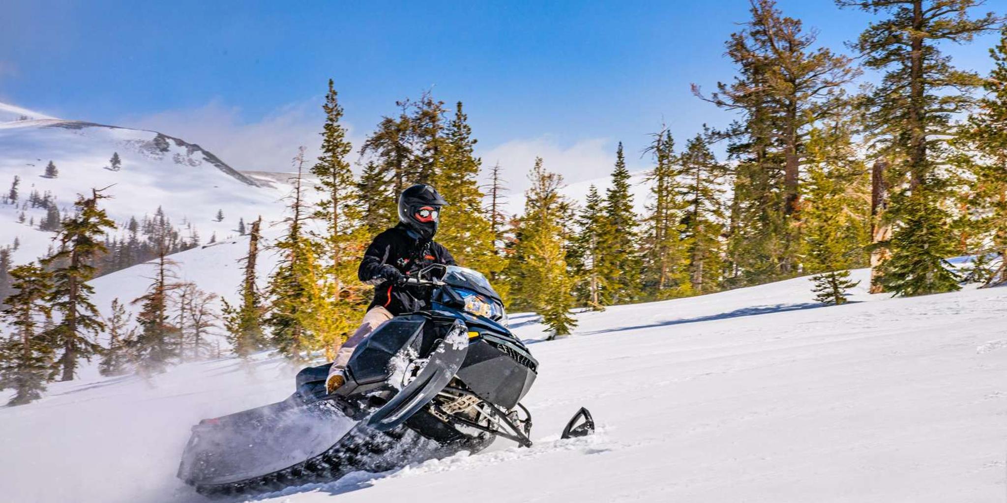 Lake Tahoe Snowmobile Tour with Scenic Views 2 hr - Image 4