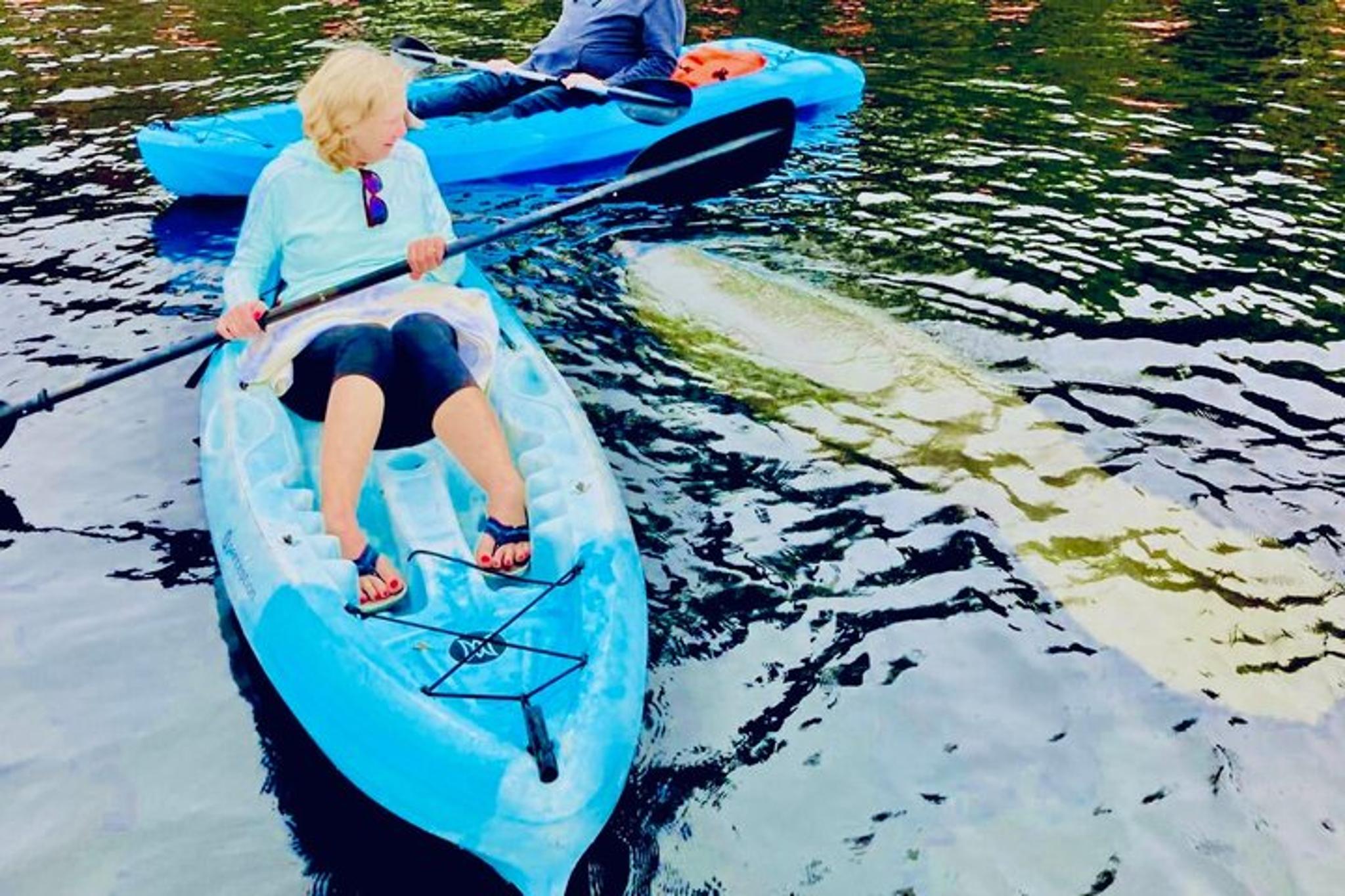 St. Augustine Dolphin and Manatee Paddle Tour - Image 5