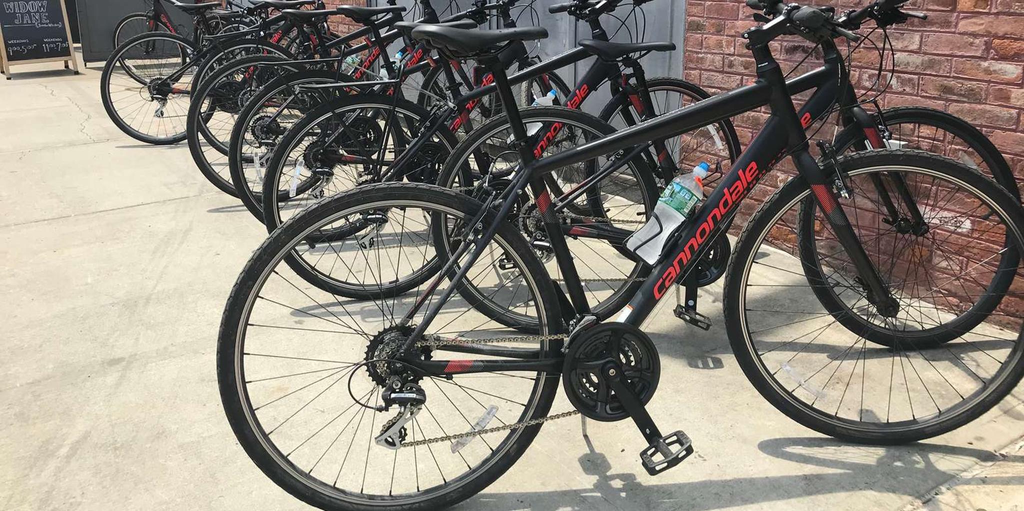 Brooklyn Bike Tour - Image 4