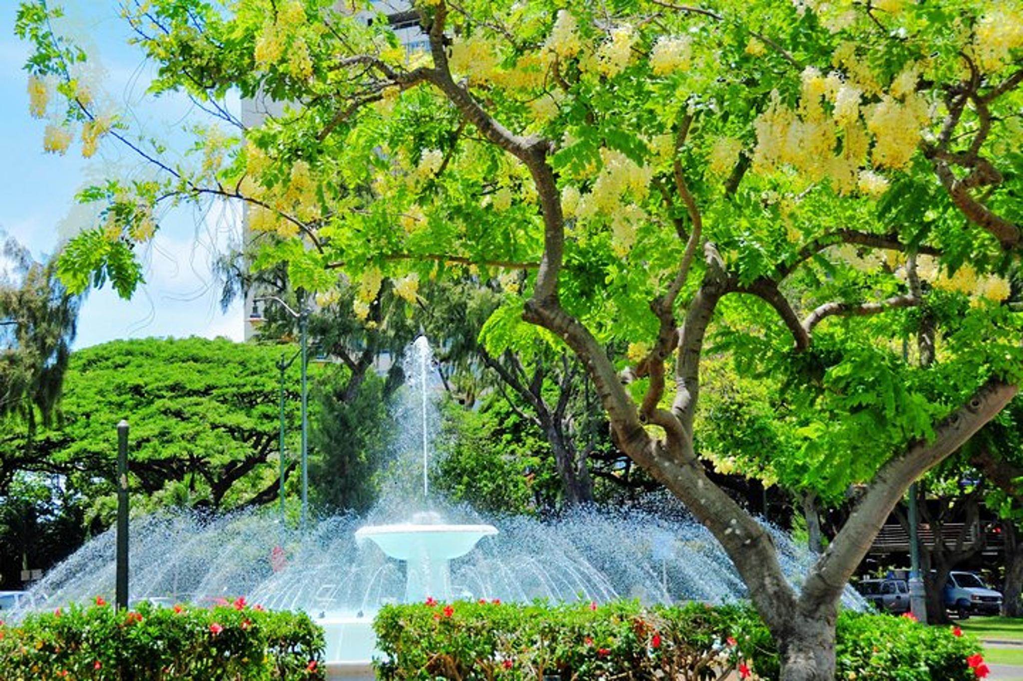 Waikiki Guided Hoverboard Tour 1hr 45min - Image 4