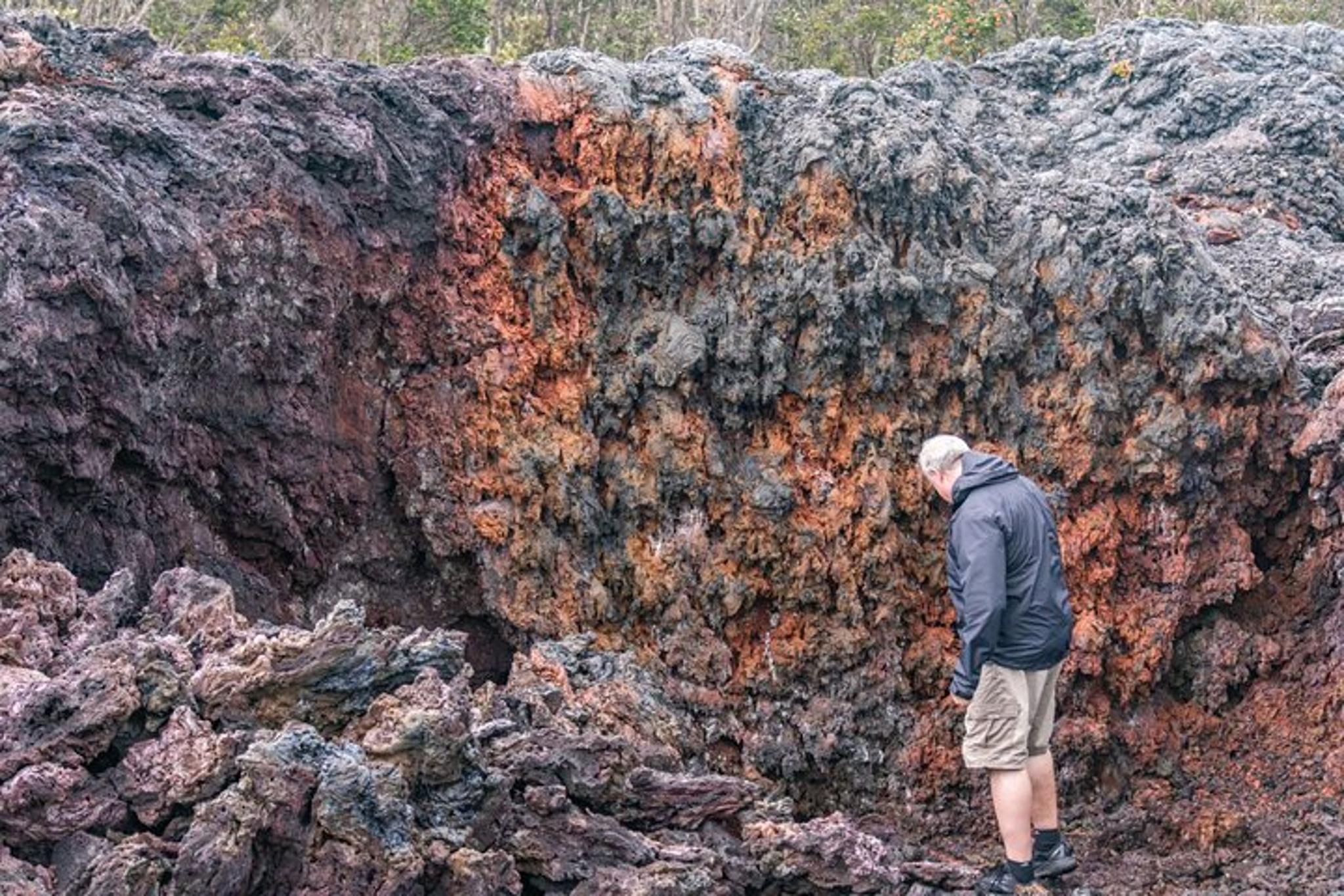 Big Island Volcano and Waterfalls Tour - Image 6