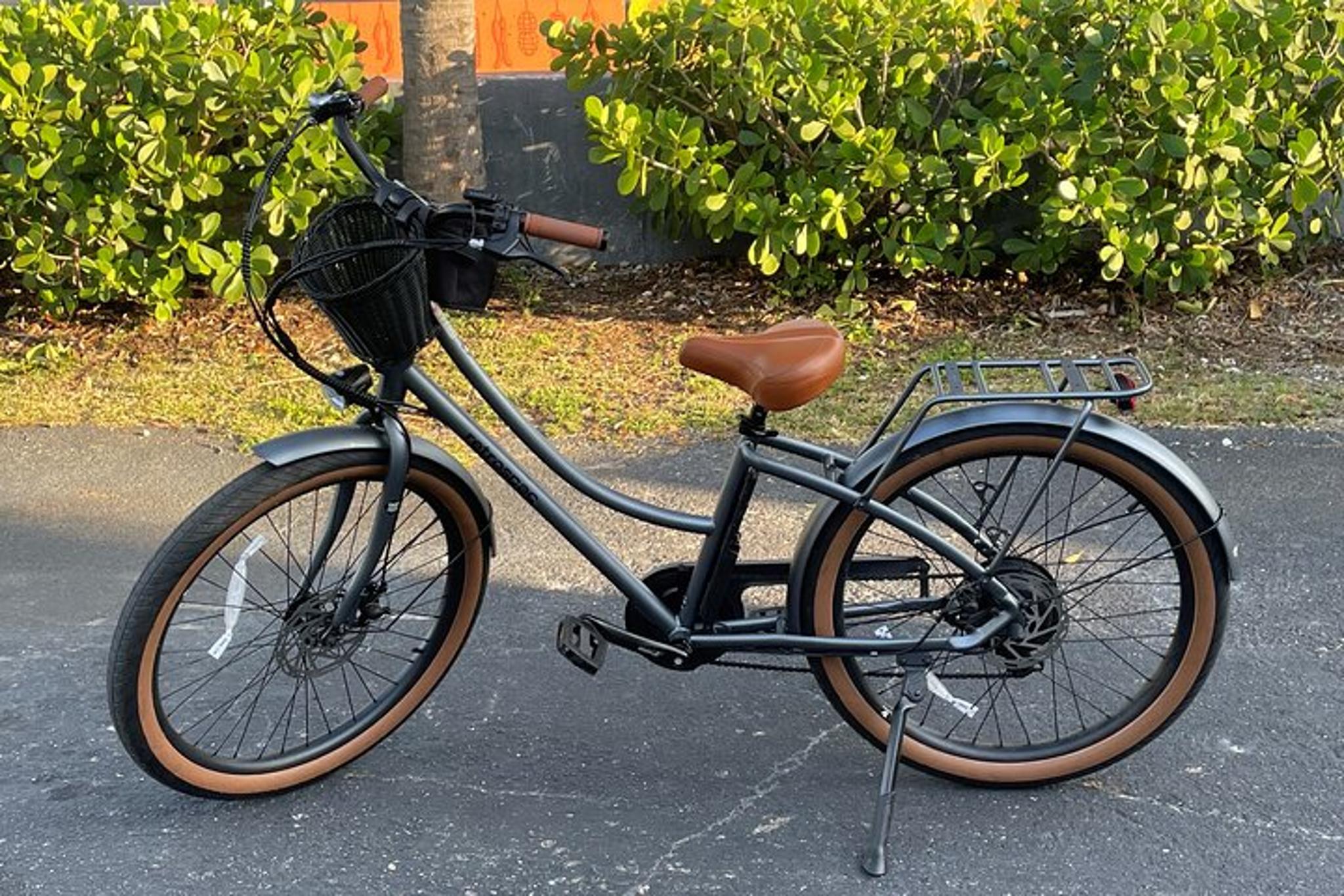 St Petersburg E-Bike Rental - Image 3