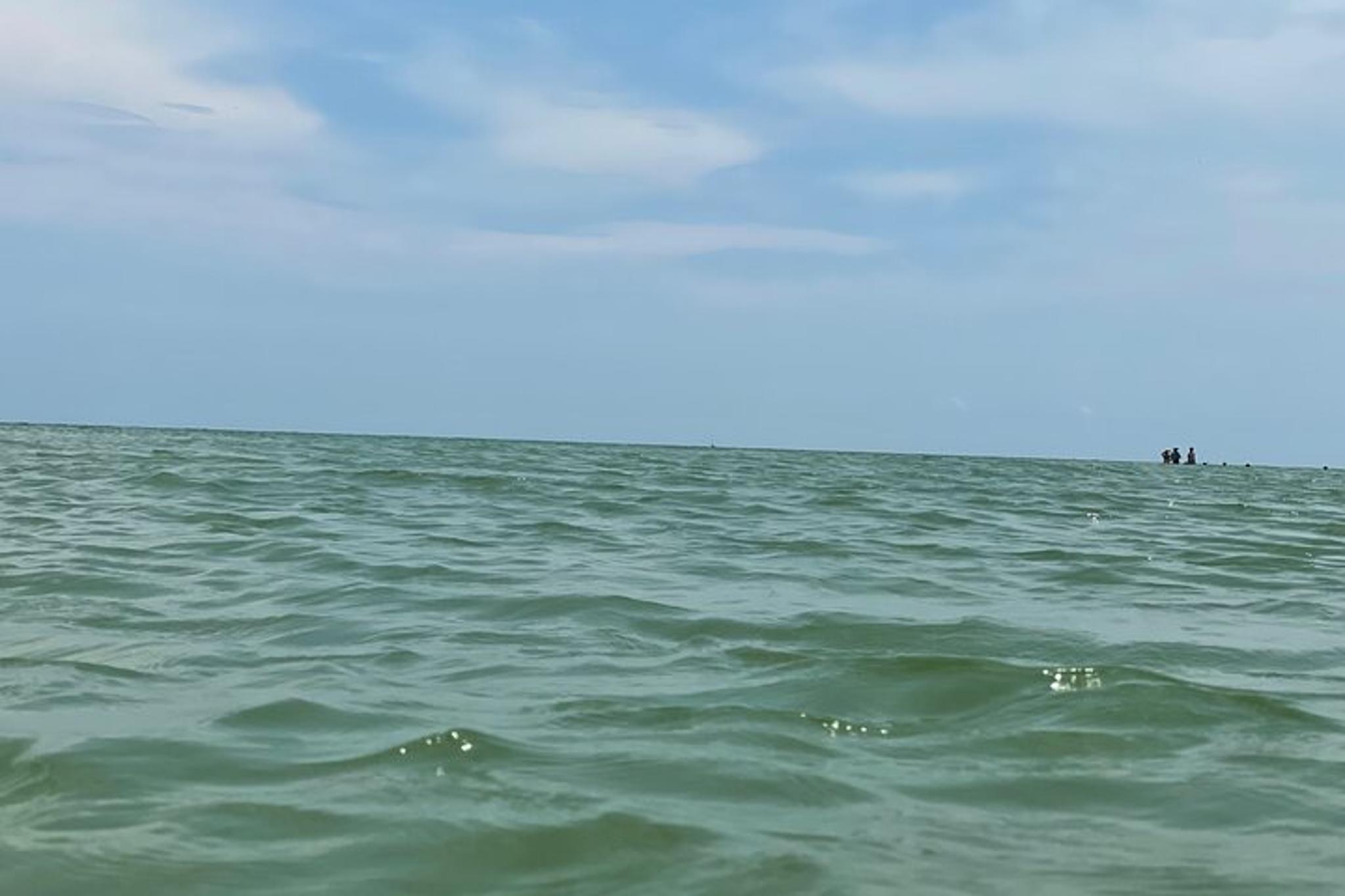 Cape Coral Dolphin and Sightseeing Boat Tour - Image 5