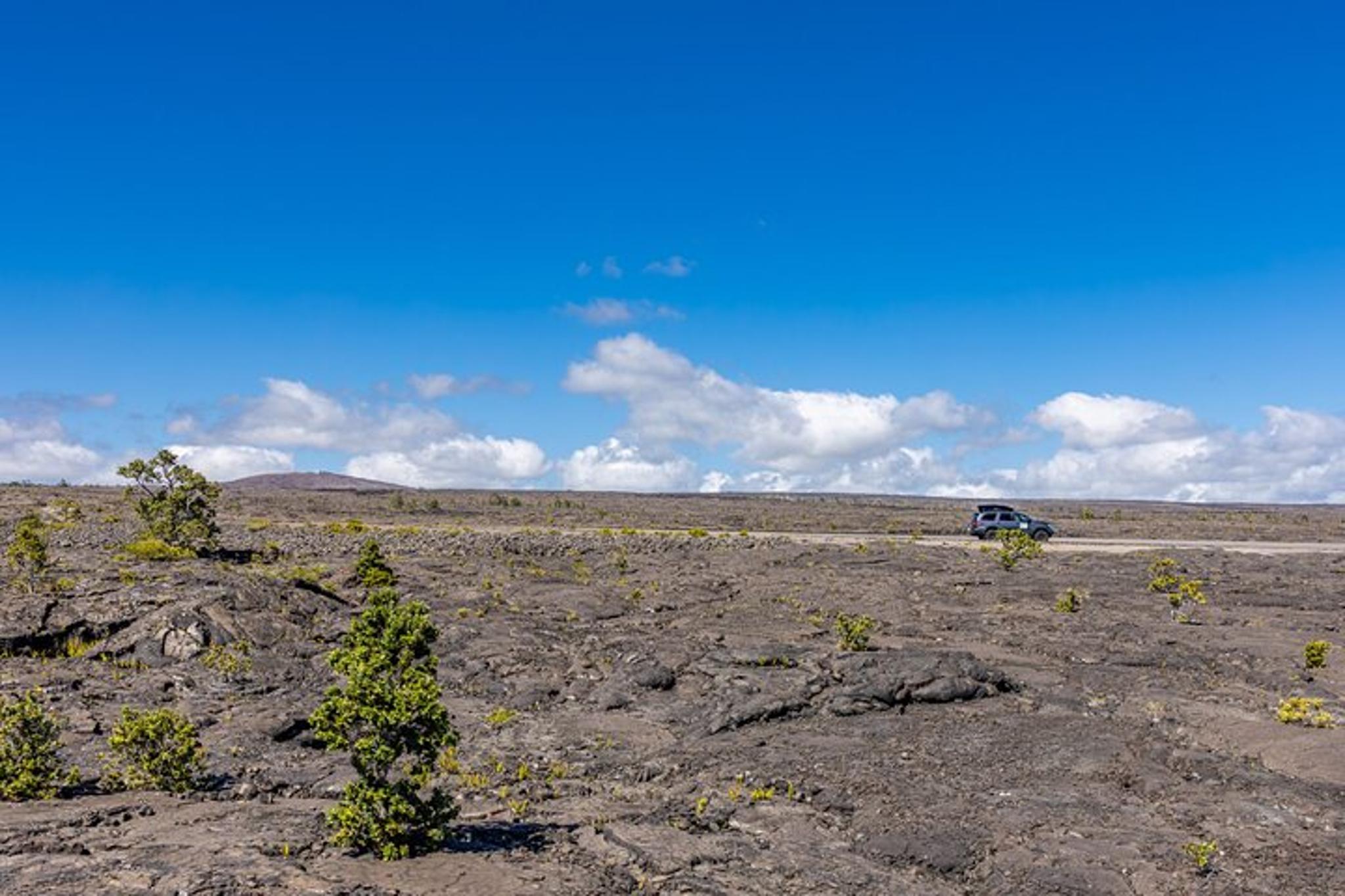 Hawaii Volcanoes National Park and Black Sand Beaches Tour - Image 2
