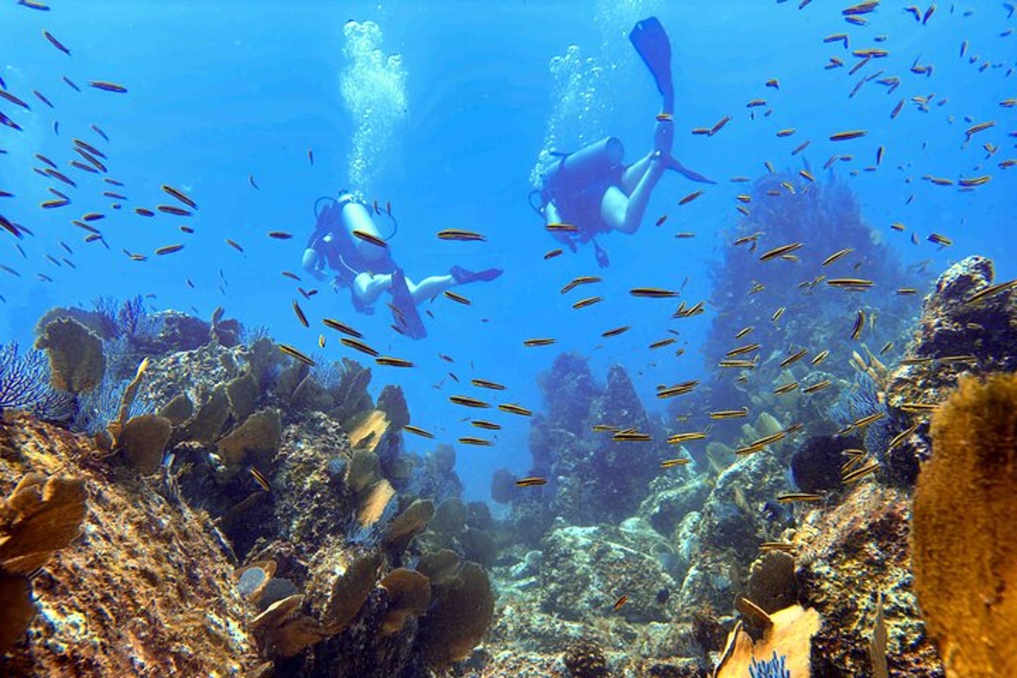 Kauai Scuba Diving for Beginners - Image 2