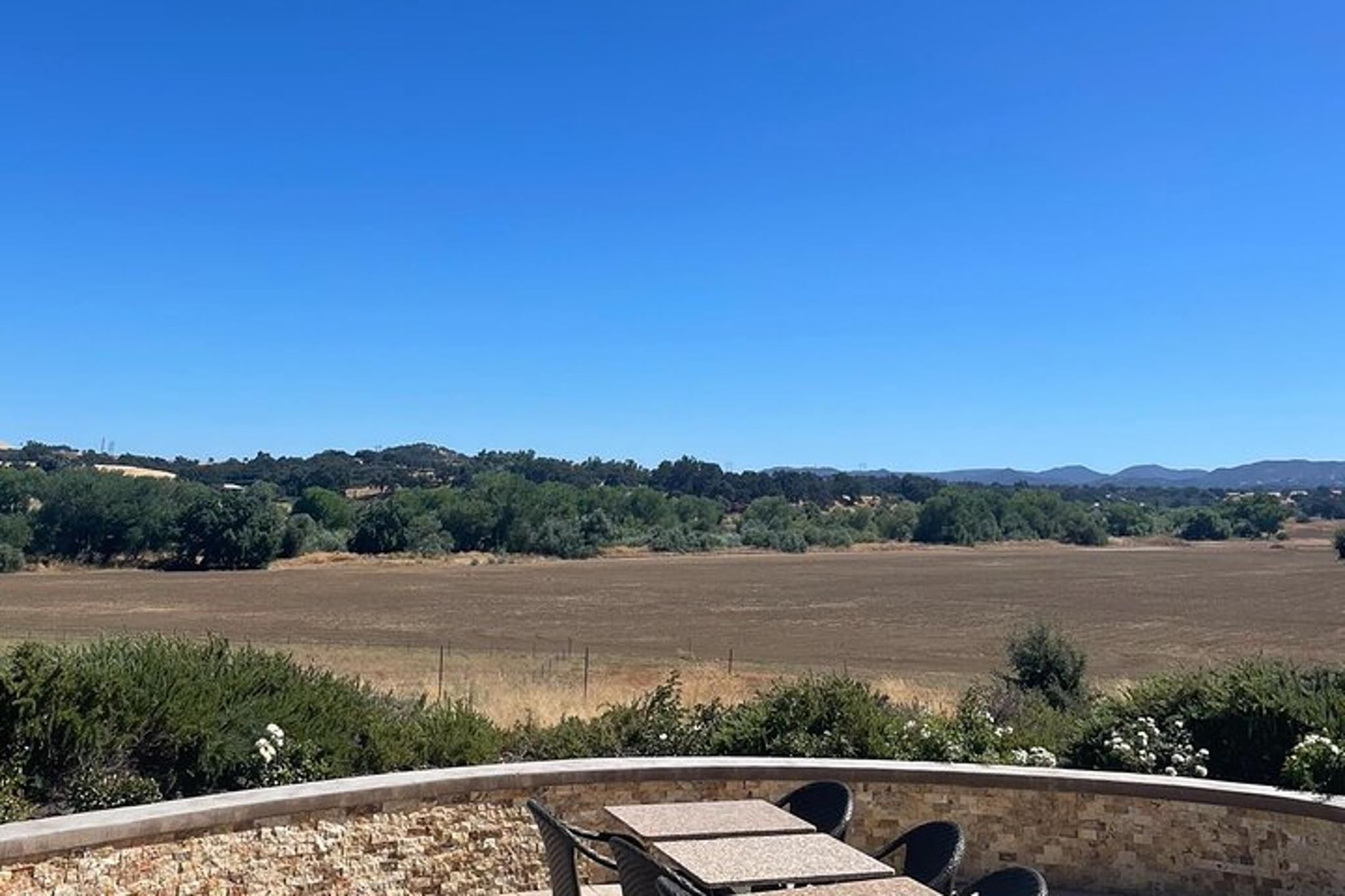 Paso Robles Pinot Noir Wine Tasting - Image 6