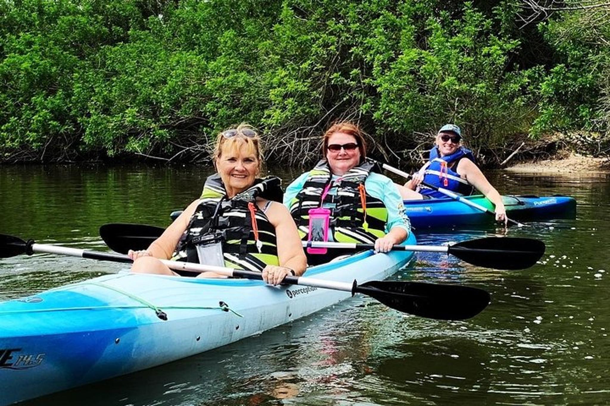 Merritt Island Manatee and Dolphin Kayak Tour 2 hr - Image 5