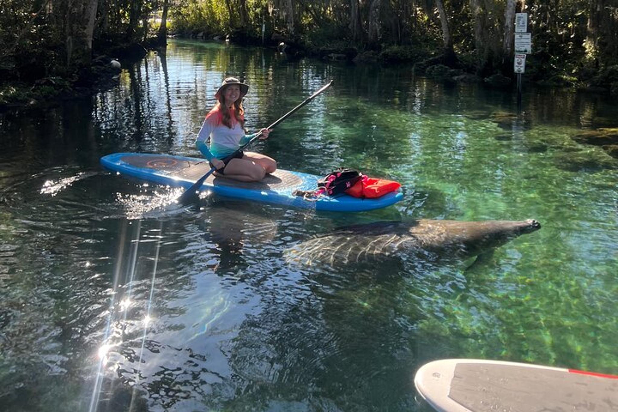Crystal River Paddle Board Rental 4 Hr