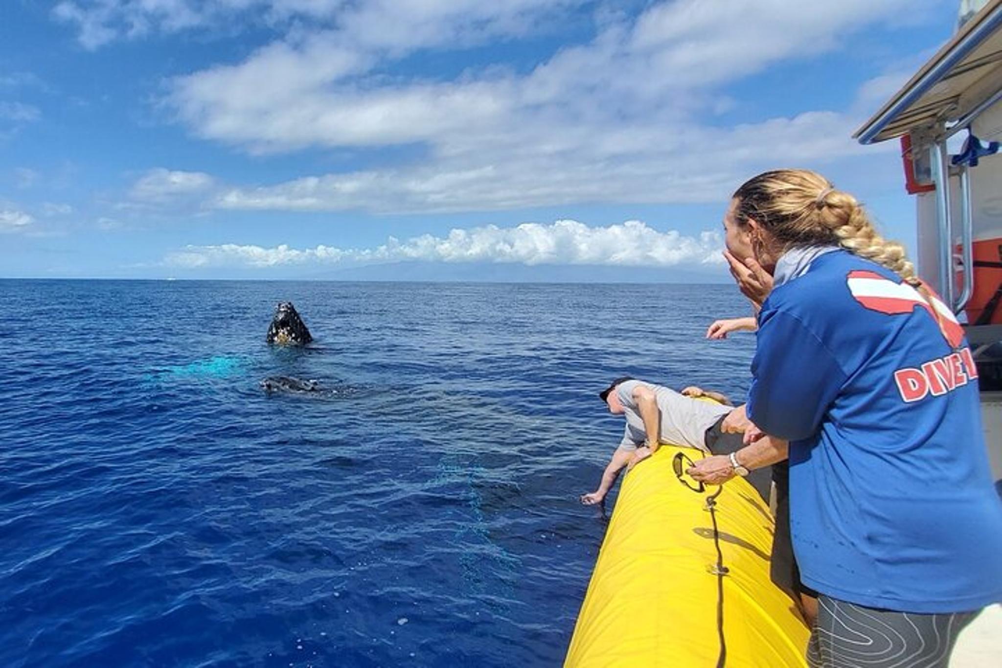 Lahaina Whale Watching Raft Tour 2 hr - Image 2
