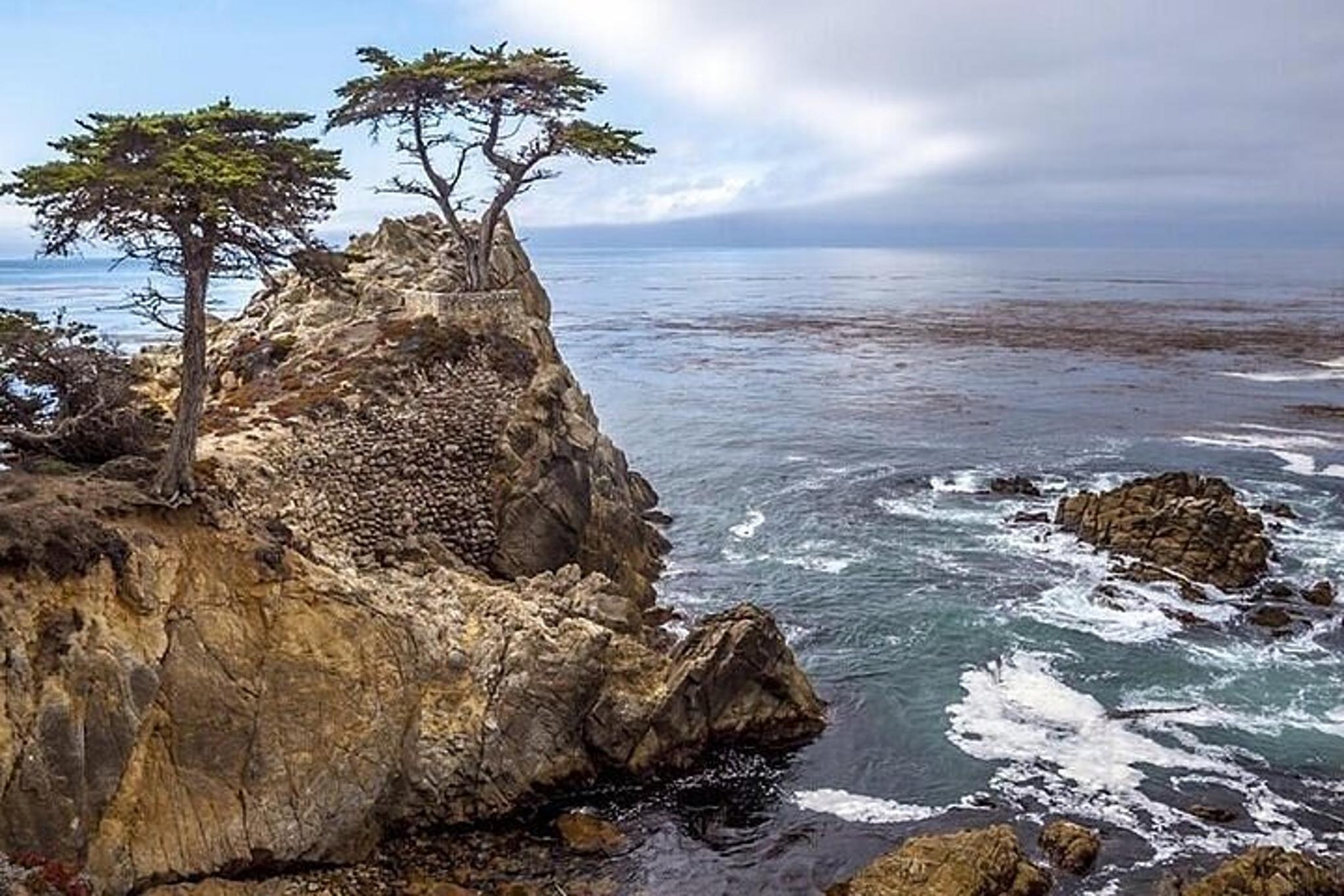 Monterey Private Tour with 17 Mile Drive 3.5 hr