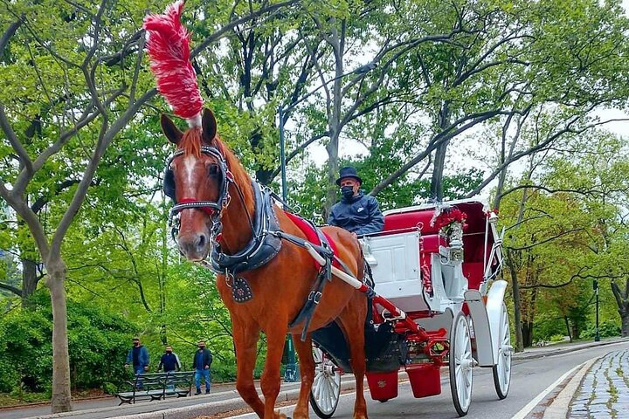 New York City Central Park Horse and Carriage Ride