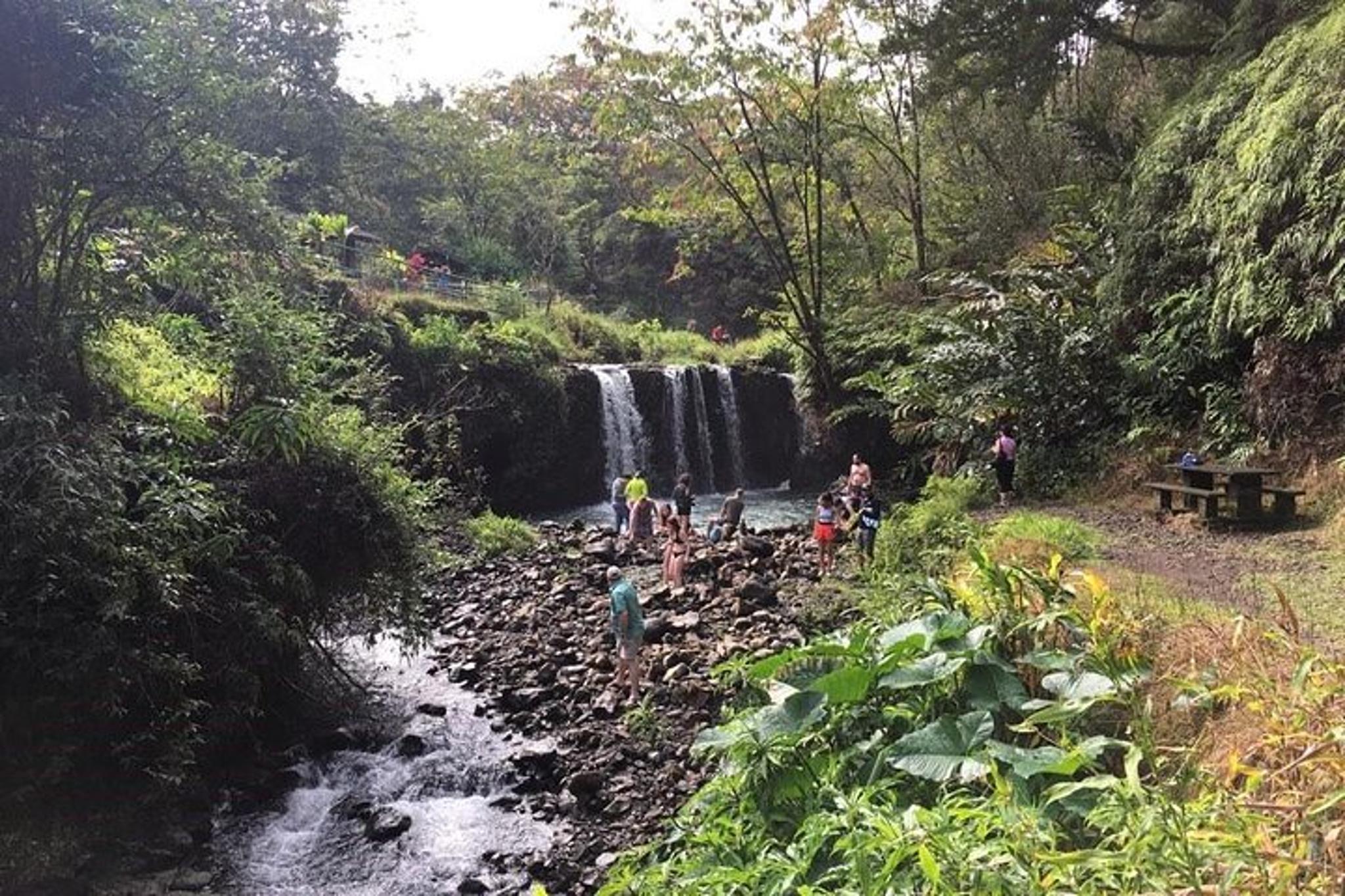 Oahu to Maui Road to Hana Day Trip - Image 3