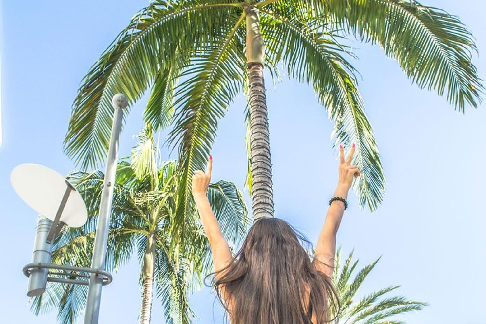 Los Angeles City Tour: Downtown, Hollywood, and Rodeo Drive