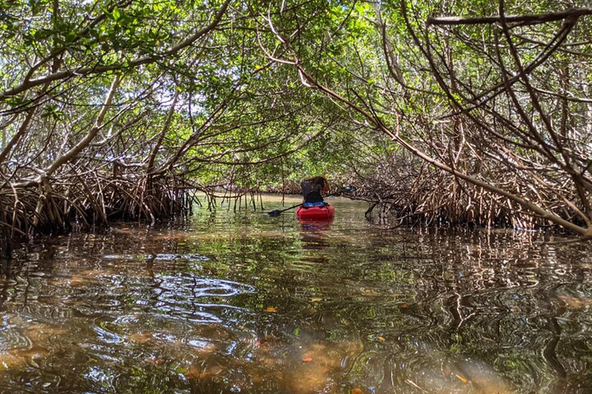 Anclote River Tandem Kayak Tour - Image 6