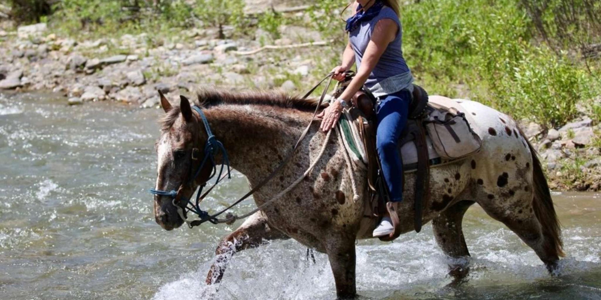 Jackson Horseback Tour with Lunch 4.5 hr - Image 4