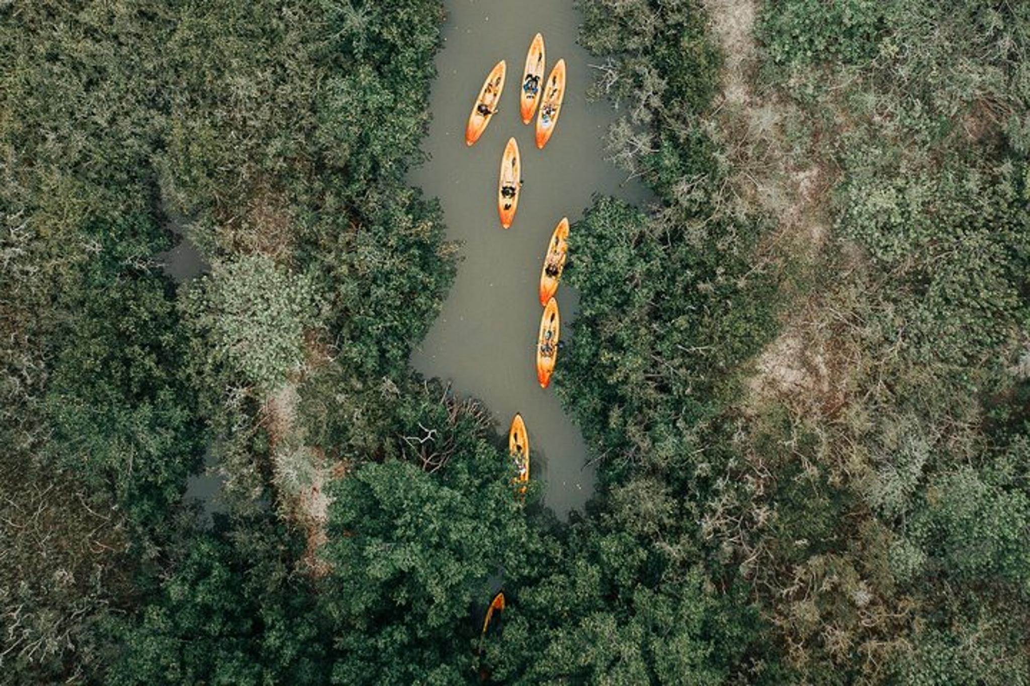 Cocoa Beach Mangrove Tunnel Kayak Tour