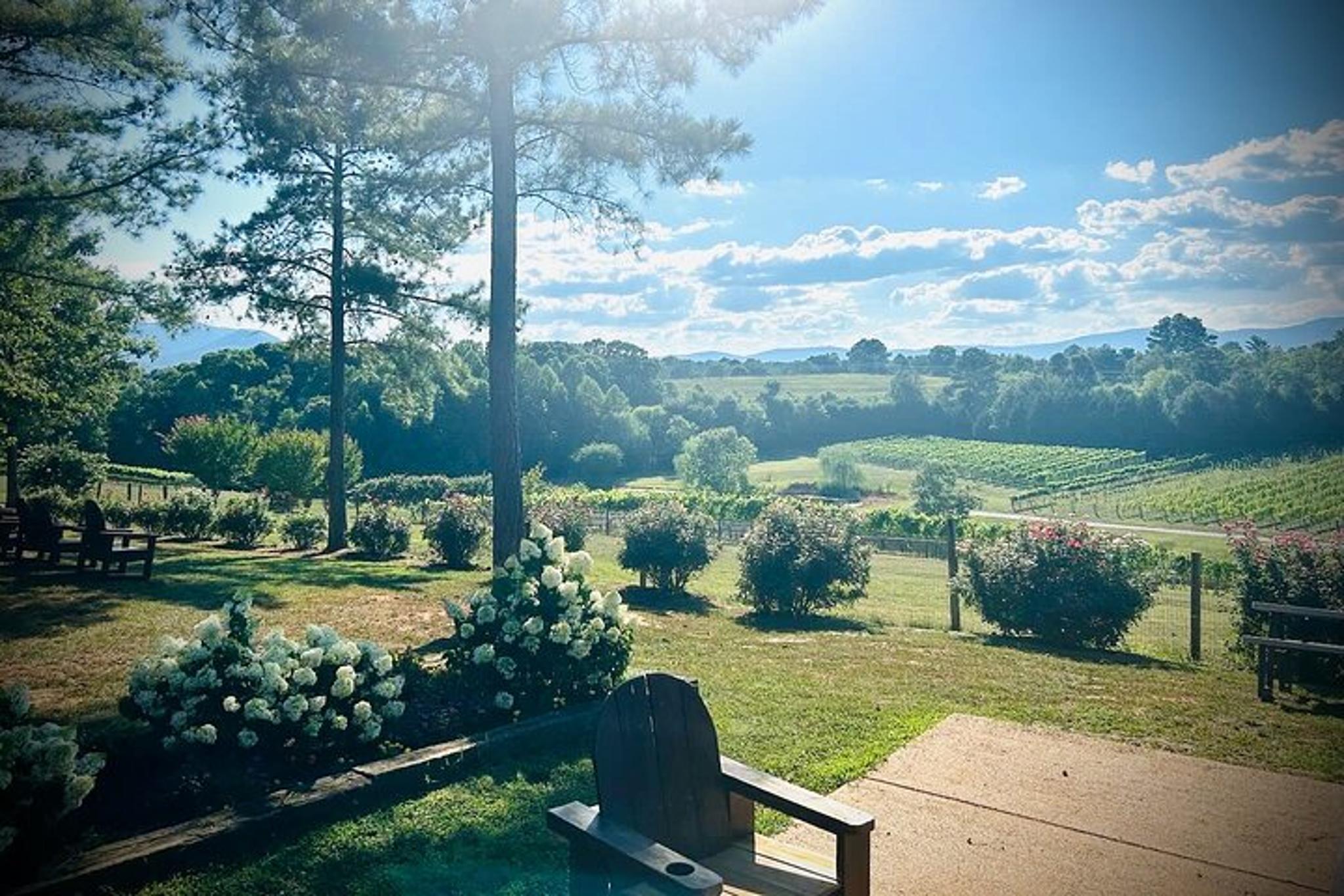 Asheville Private Wine Tour - Image 5