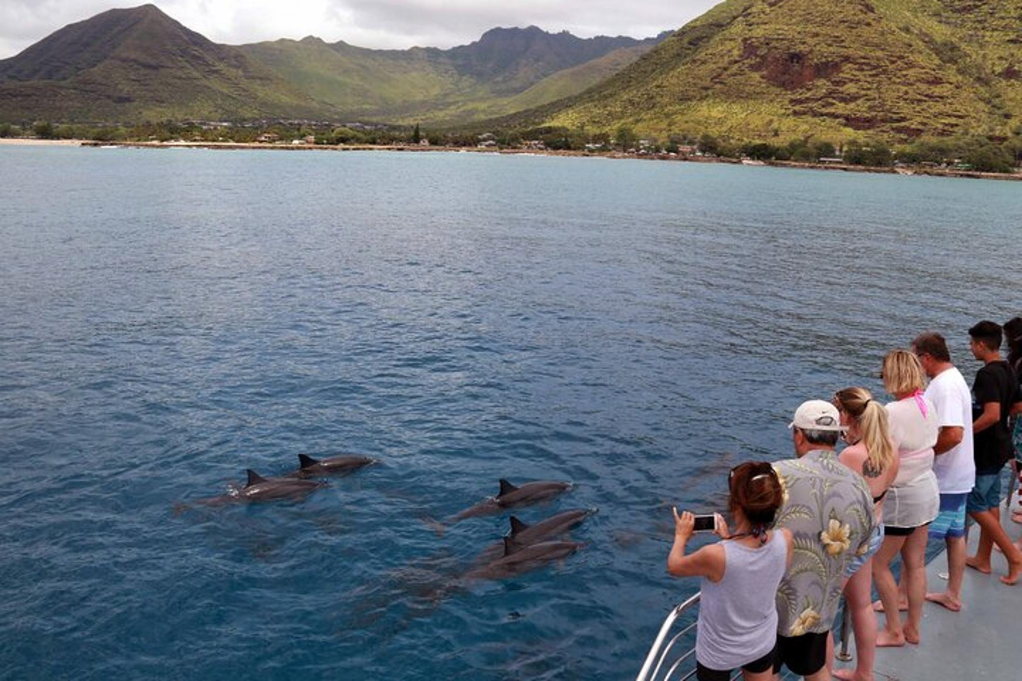 Oahu Dolphin Watch and Snorkeling Cruise at Sunset - Image 2