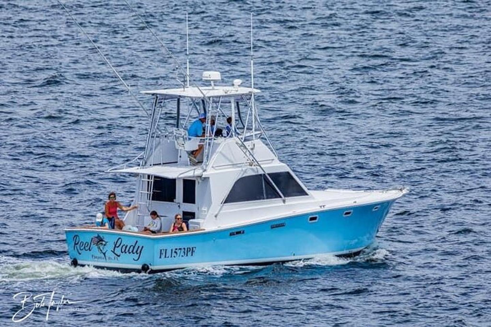 Panama City Beach Dolphin Sightseeing Tour 2 hr - Image 3