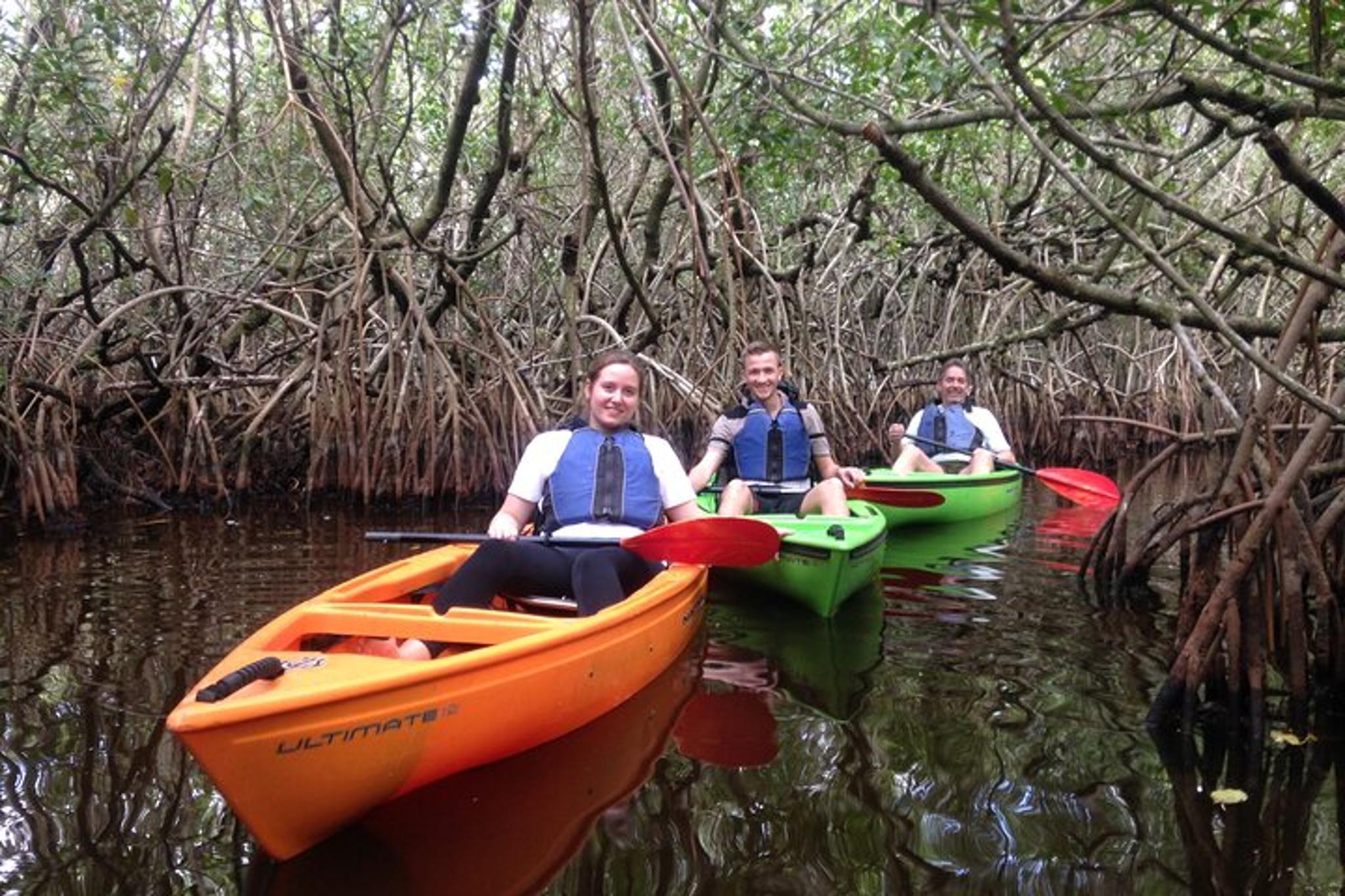 Marco Island Mangrove Tunnel Kayak Adventure