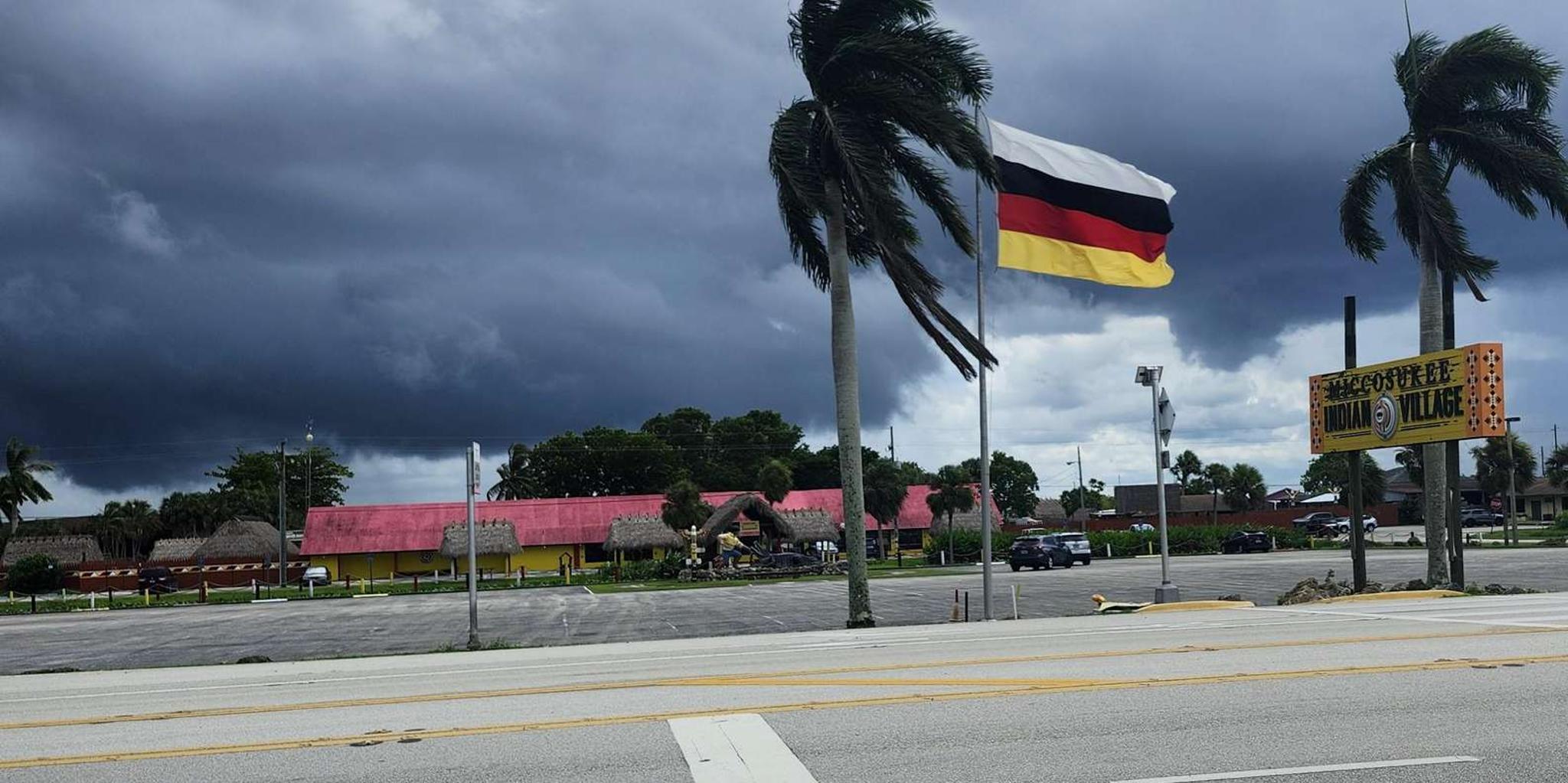 Miami Everglades Airboat Tour with Small Group - Image 5